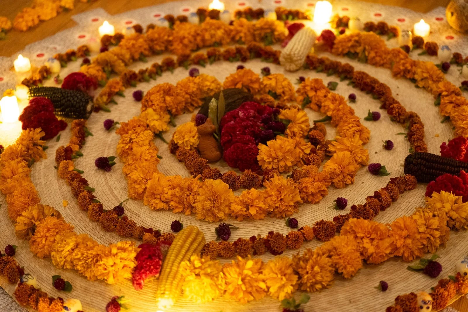 Semilla · Círculo de cacao y taller corporal