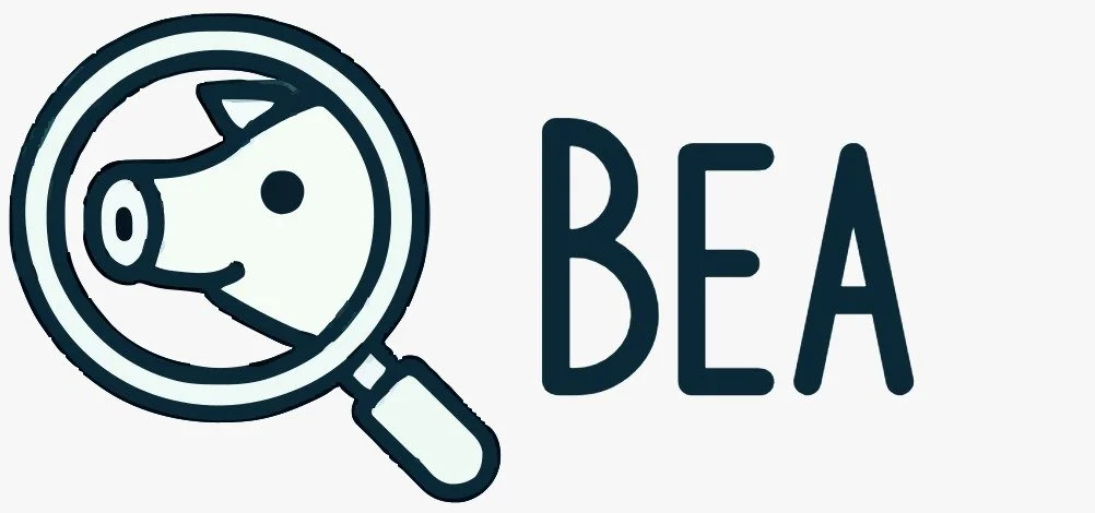 WhatsApp Image 2025-10-13 at 12.50.55.jpeg