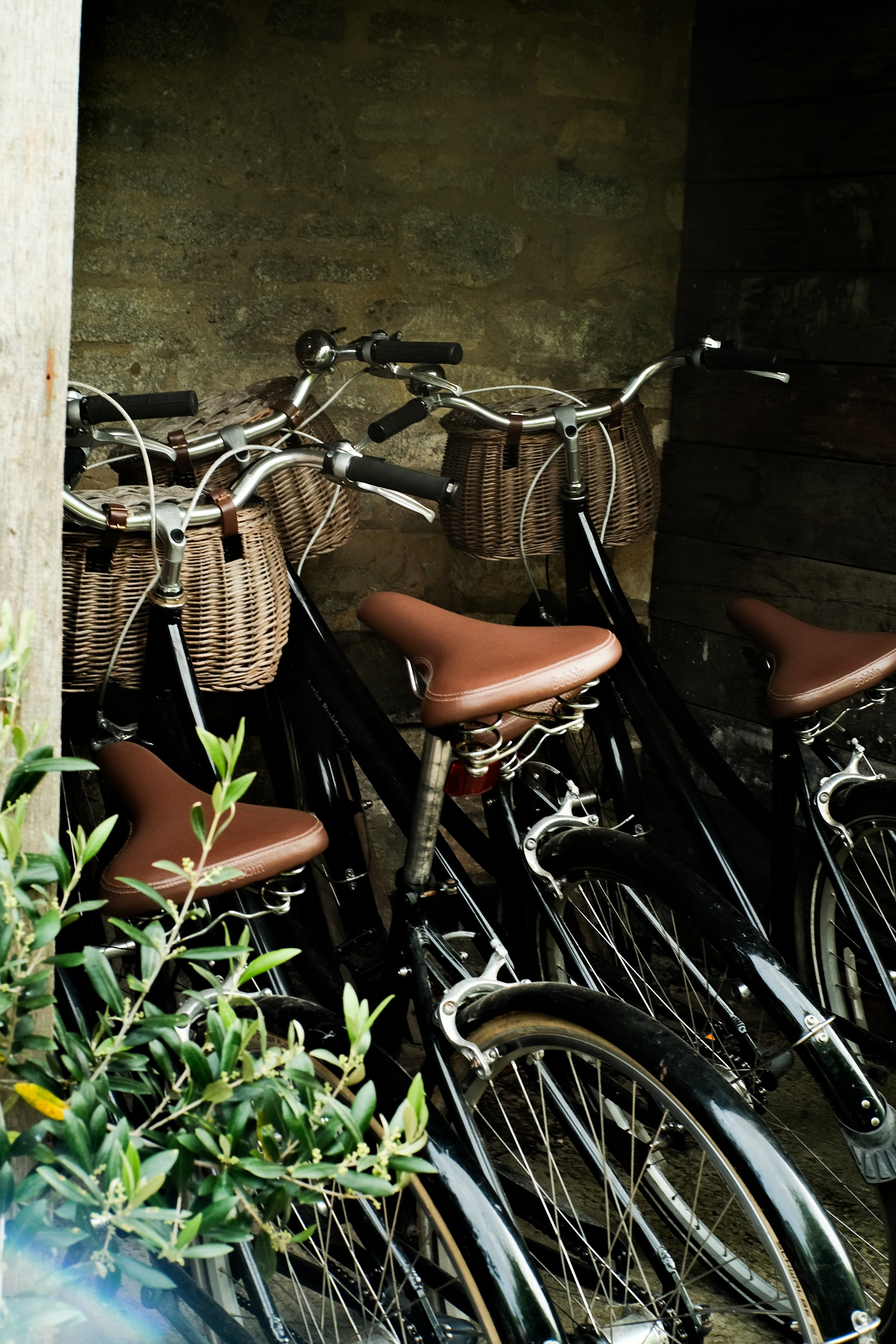 DSCF5978.jpg