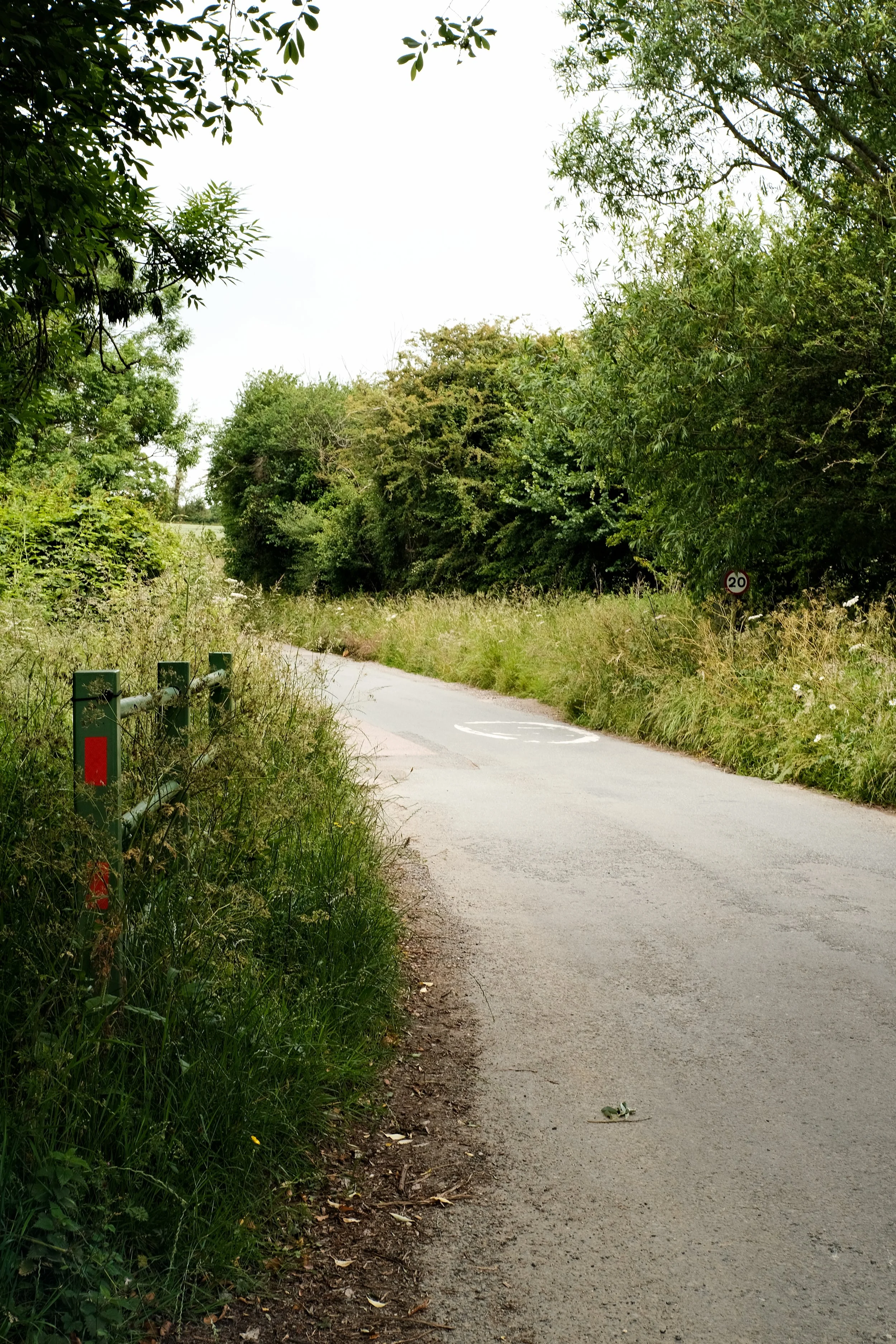 DSCF6386.jpg