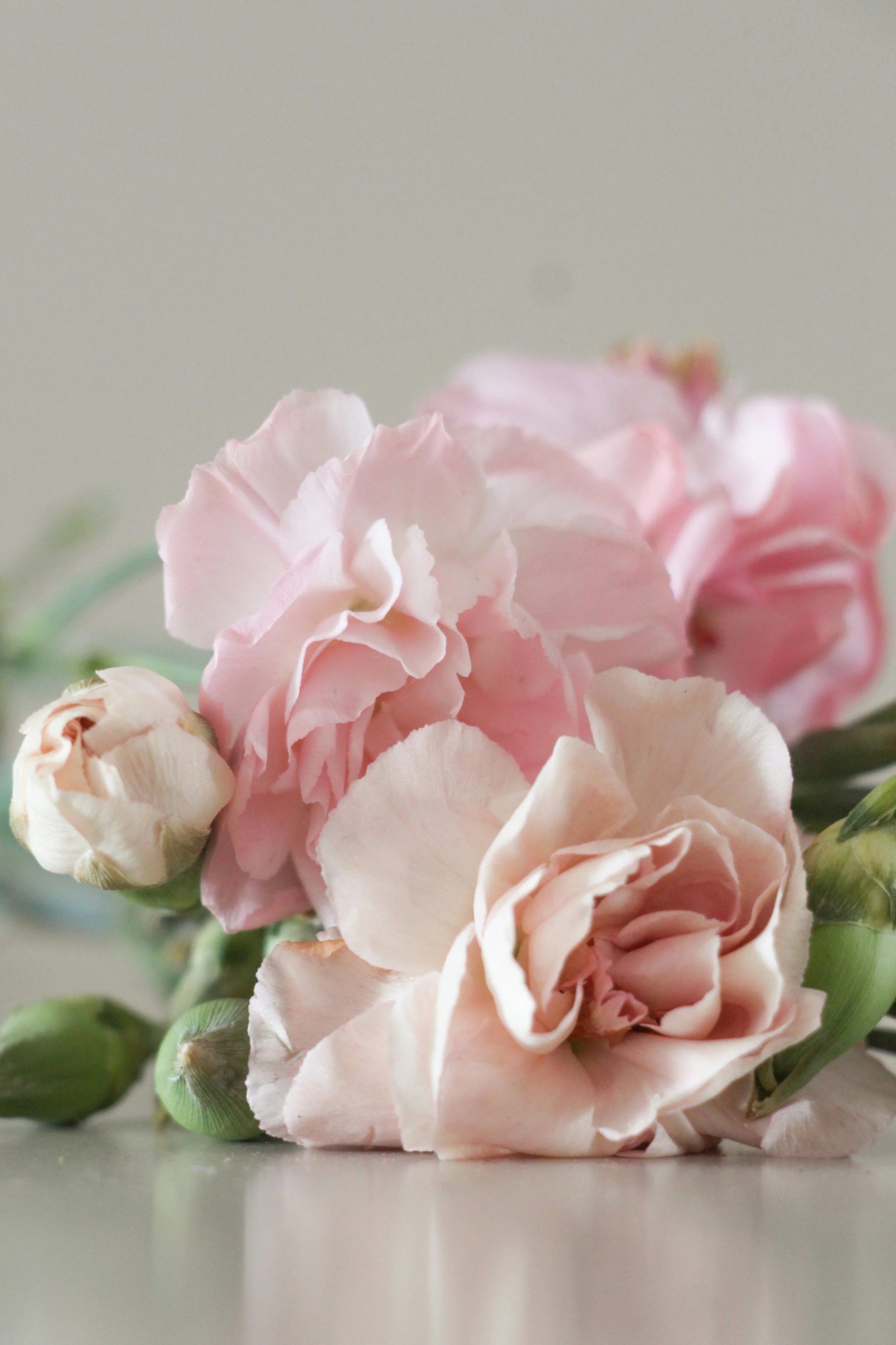 Bouquet of white and light pink flowers