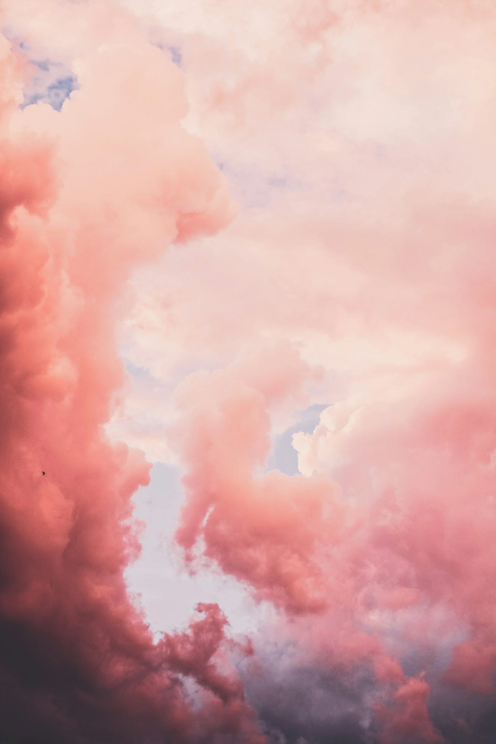 Pink clouds over a blue sky