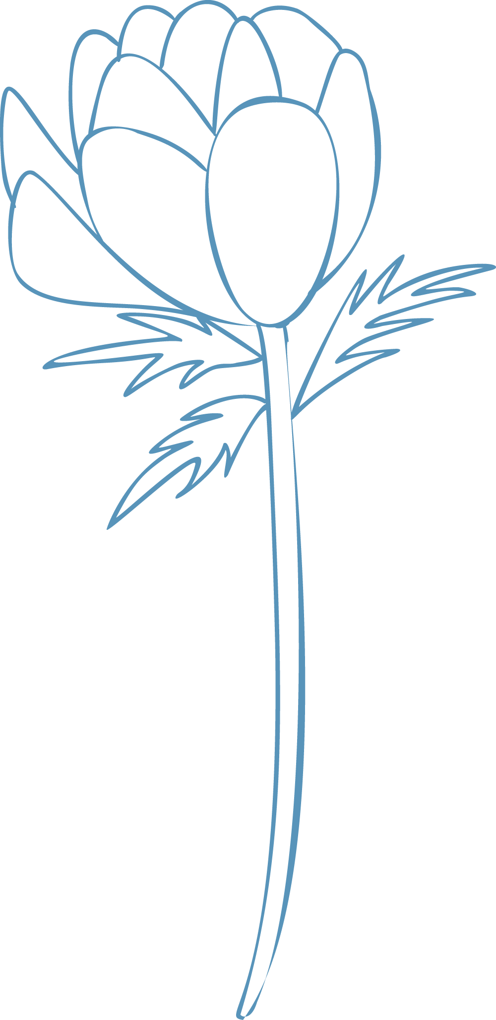 Hand drawn outline in blue of a flower on a stem