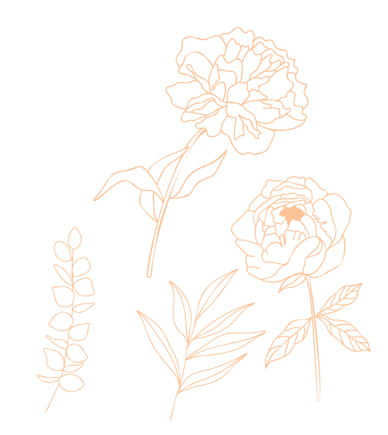 Two flowers and a plant outline drawn in peach
