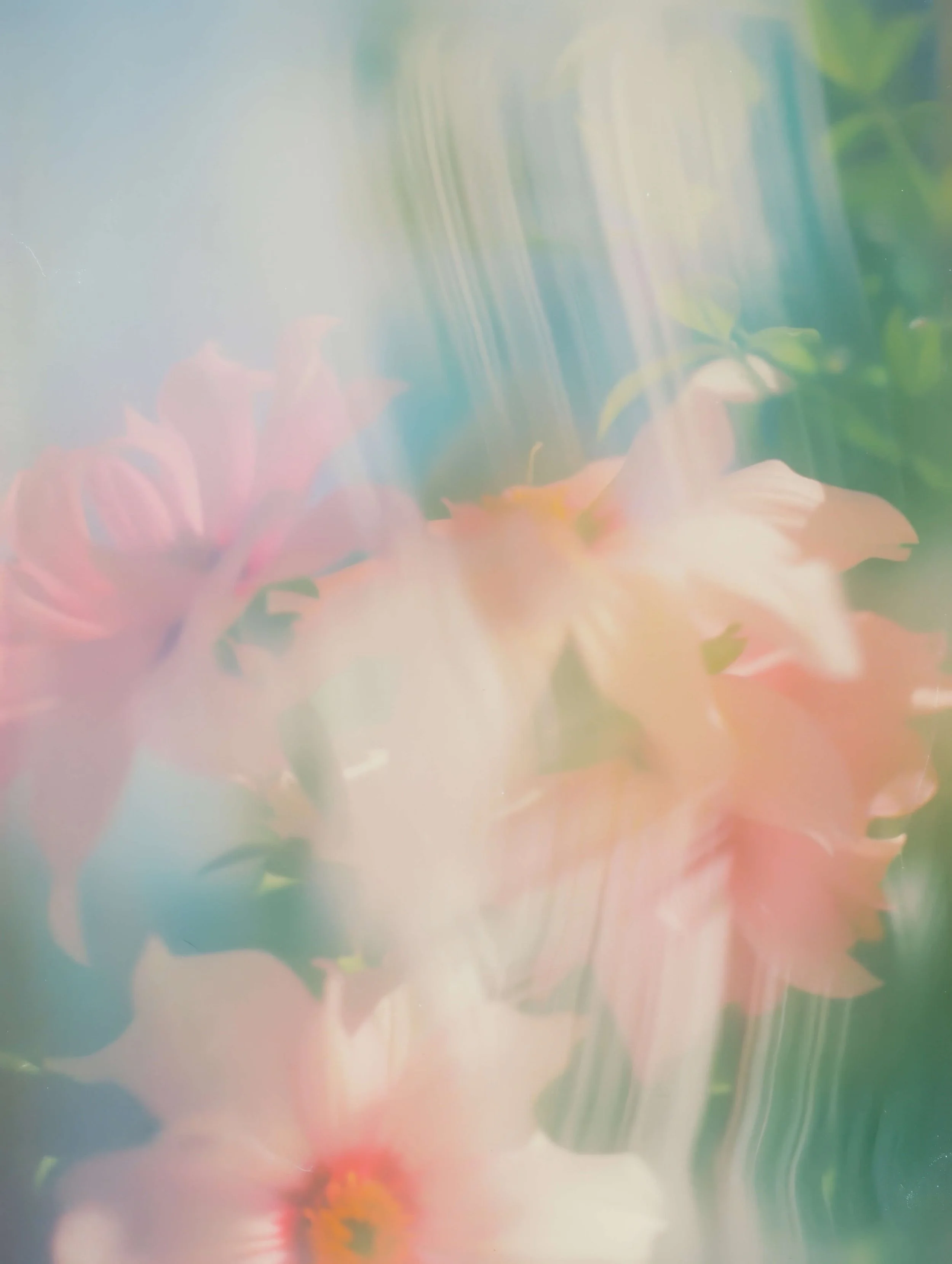 Blurry, painted pink flowers against a blue and green background