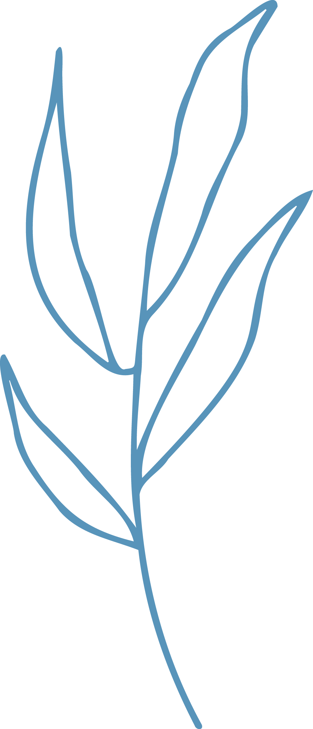 Hand drawn outline in blue of a steam with four leaves