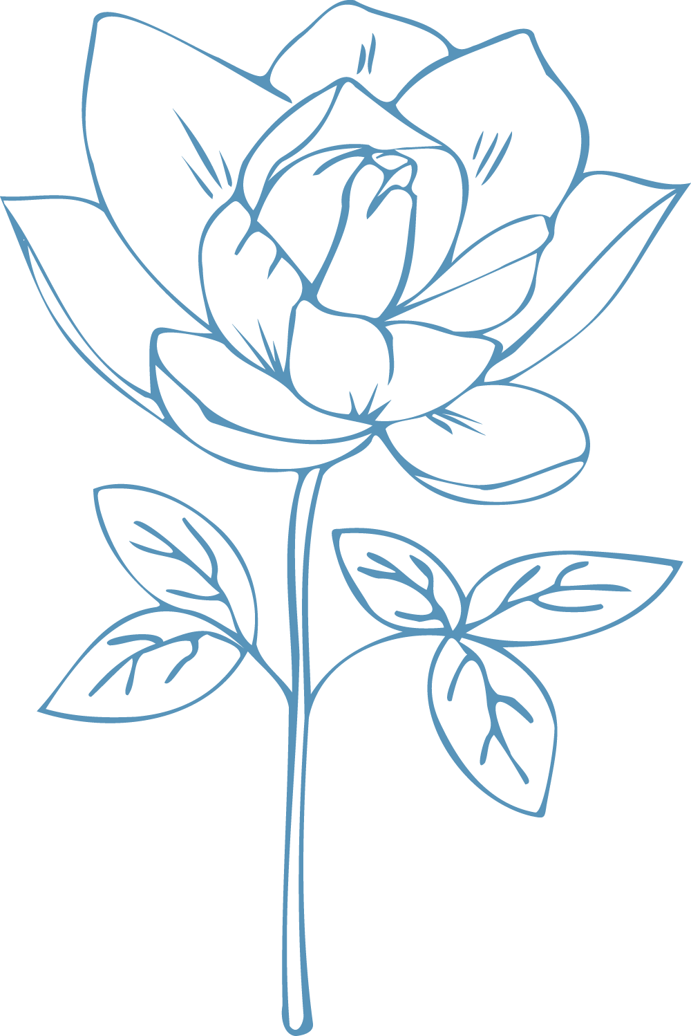 An outline of a flower hand drawn in blue