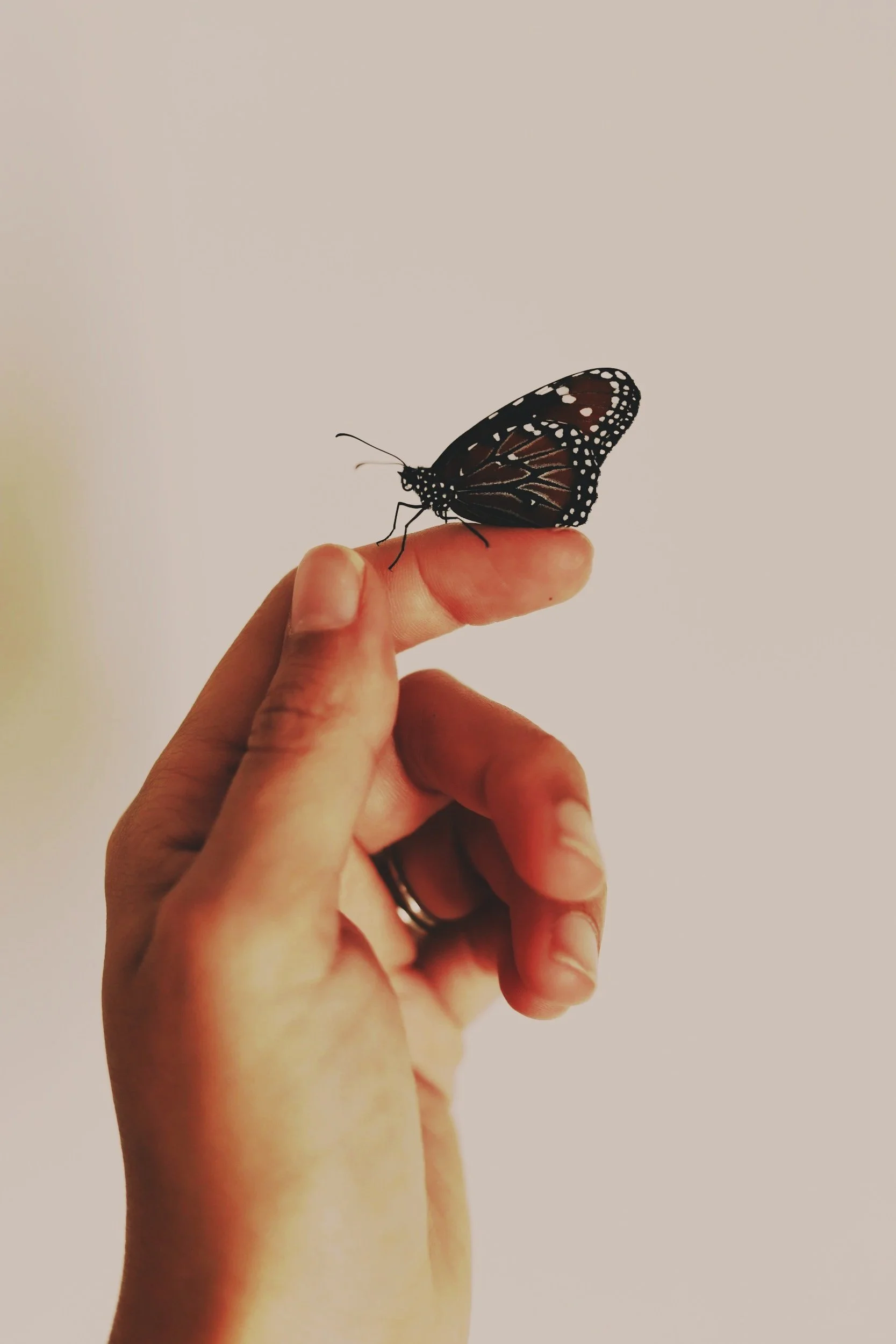 A black butterfly is perched on a woman's finger