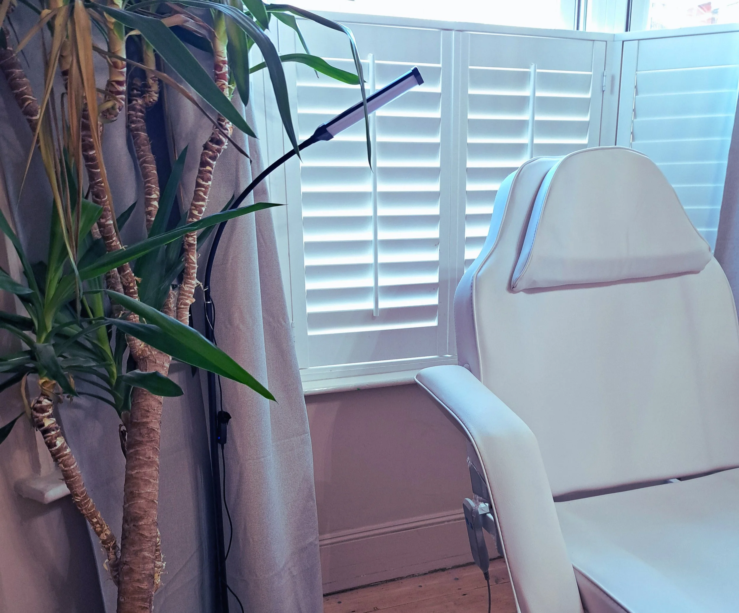 Indoor space with a potted plant on the left, white blinds in the background, and a white chair with a cushion on the right.