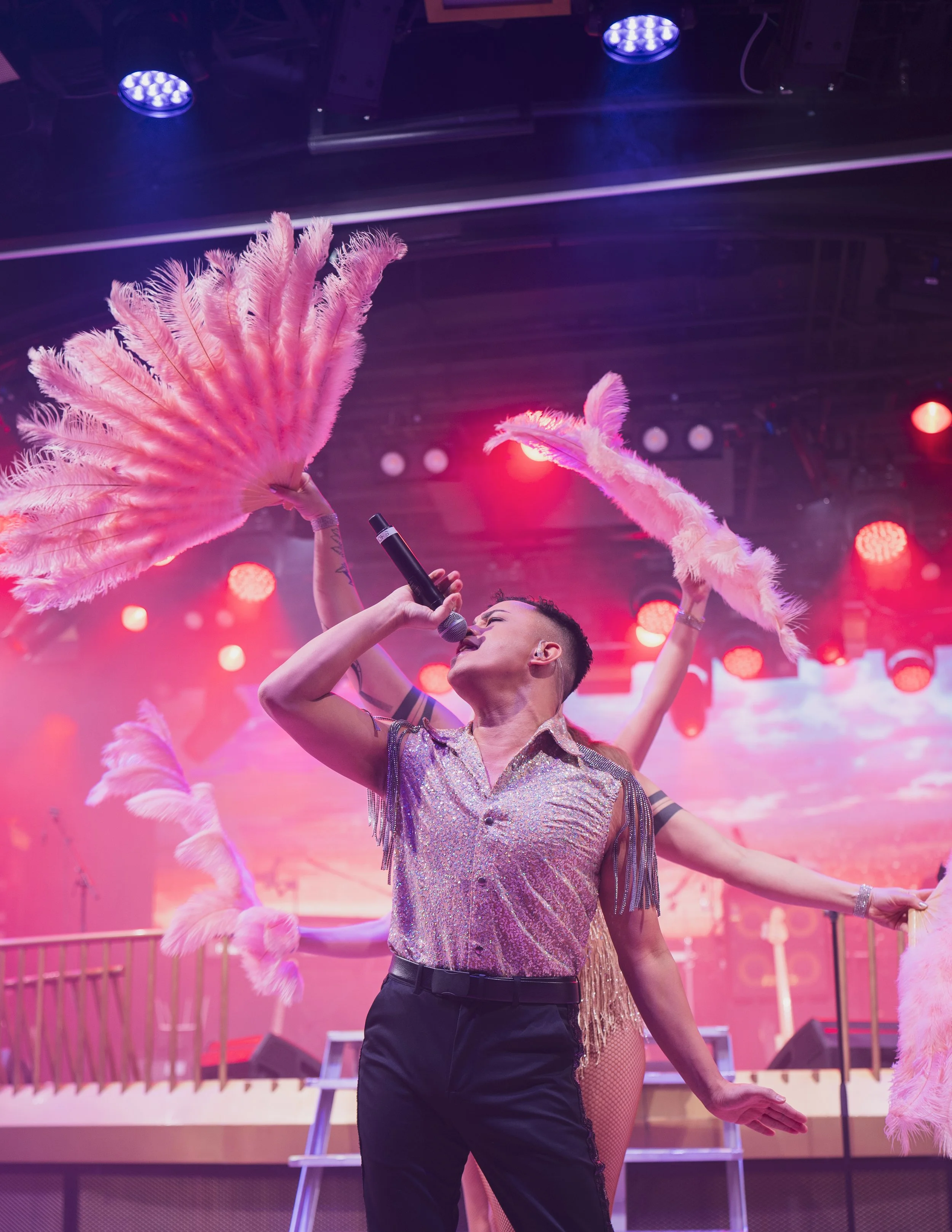 NIGHT SHOW / VIKING LINE CRUISE