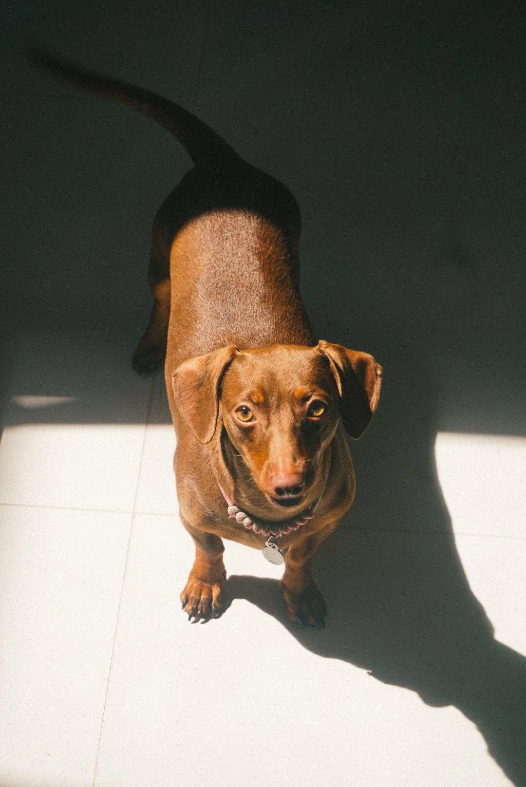 Chloe