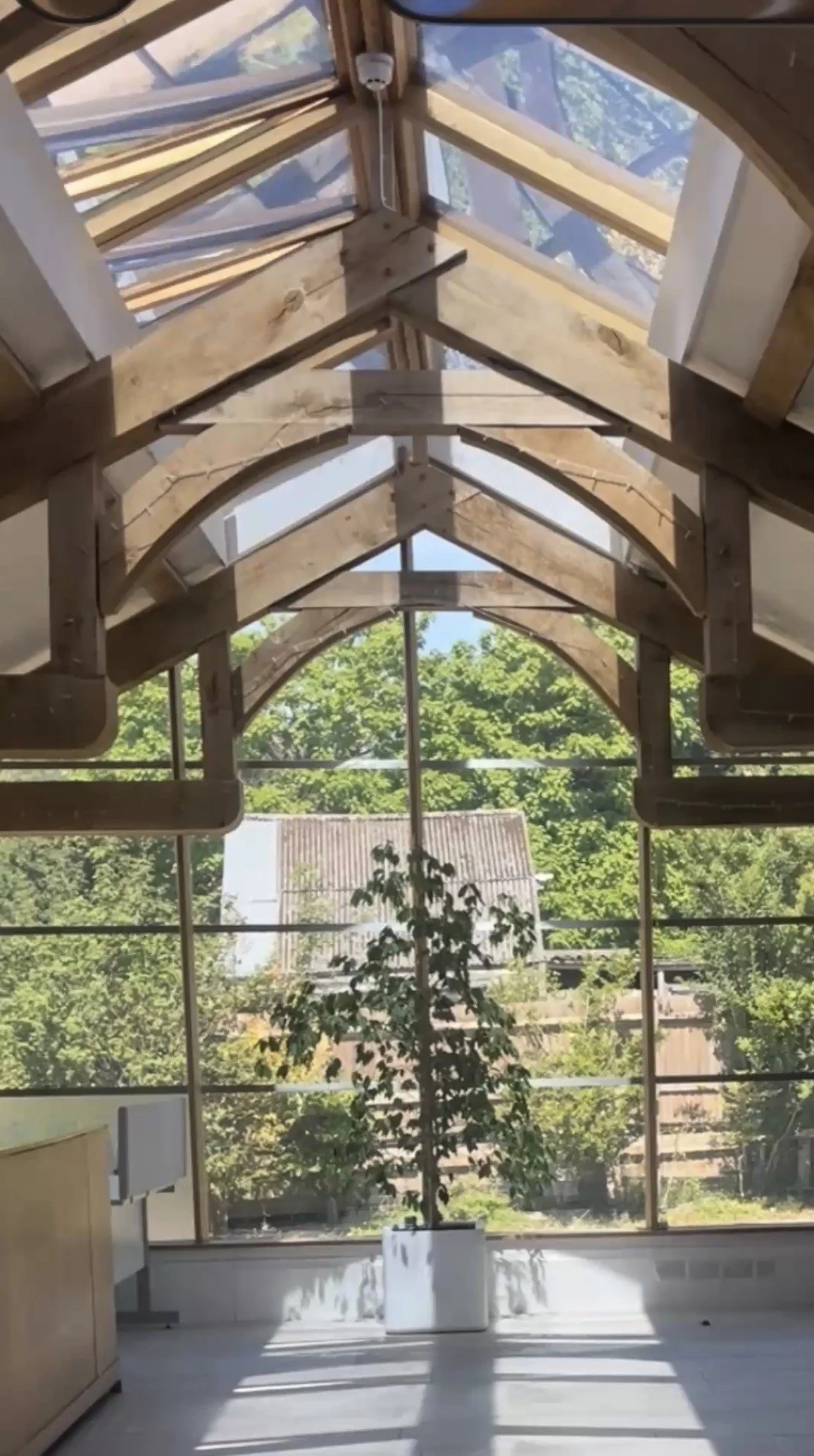 Interior of a building under construction with a wooden roof structure and large glass windows, revealing trees and rooftops outside. A potted plant is in the front center.