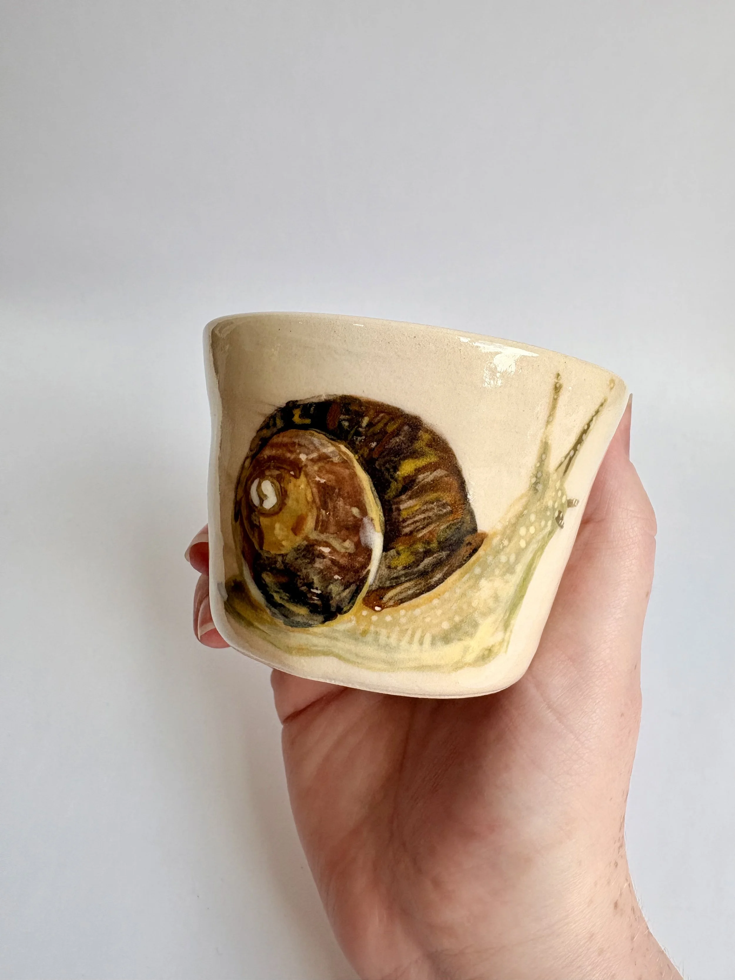 Snail Cup