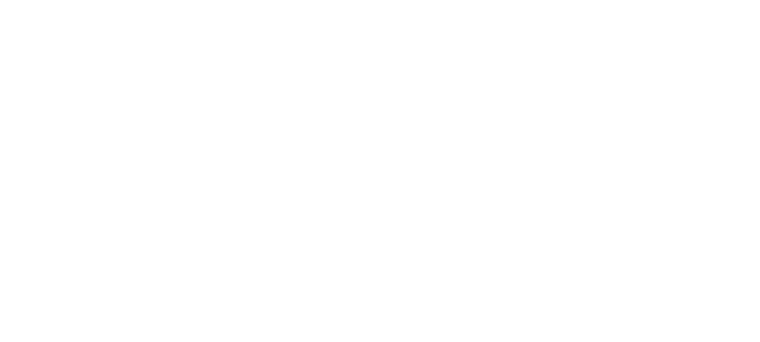 Whaler Electric