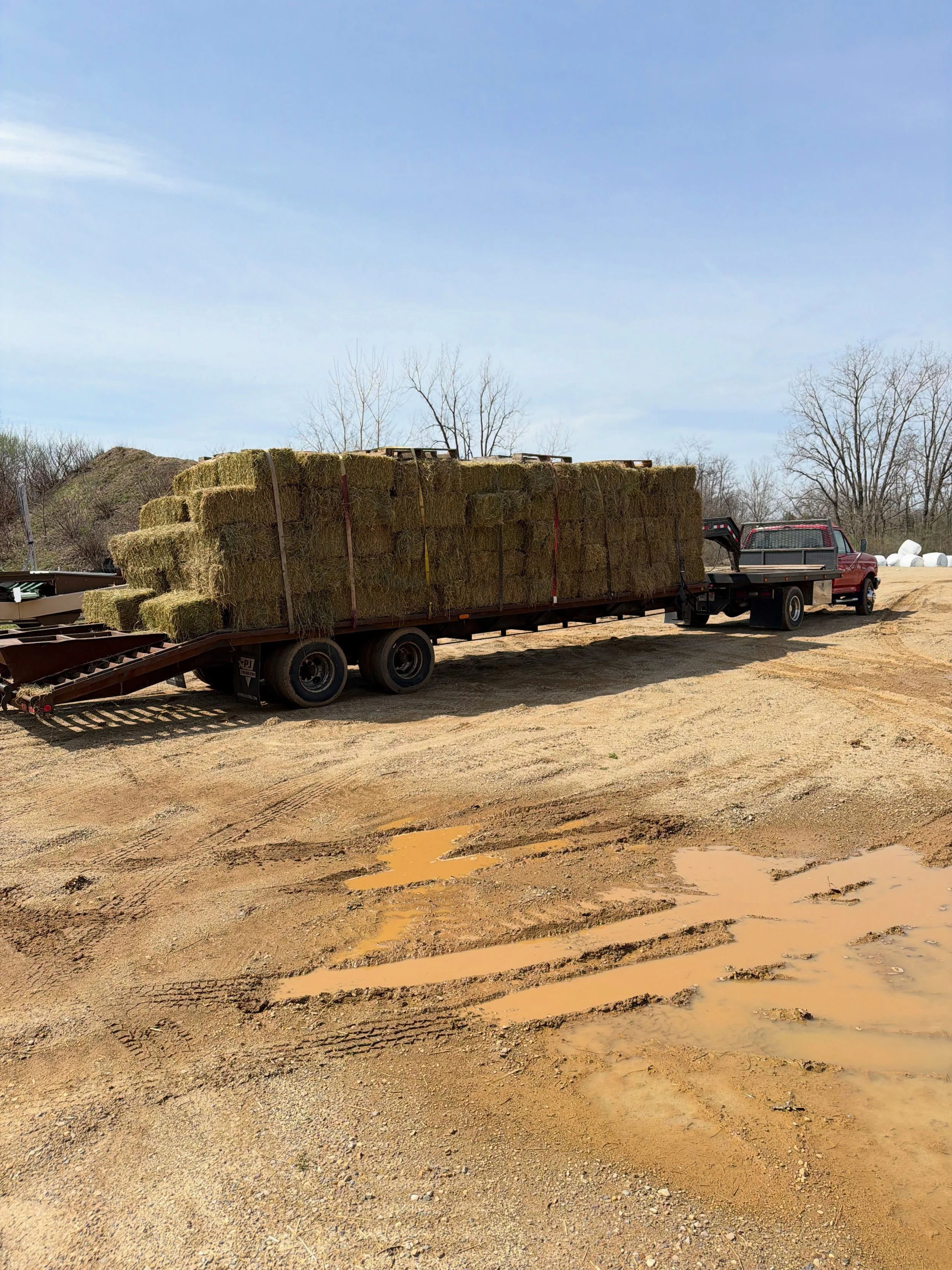 Goose and Smalls.JPG