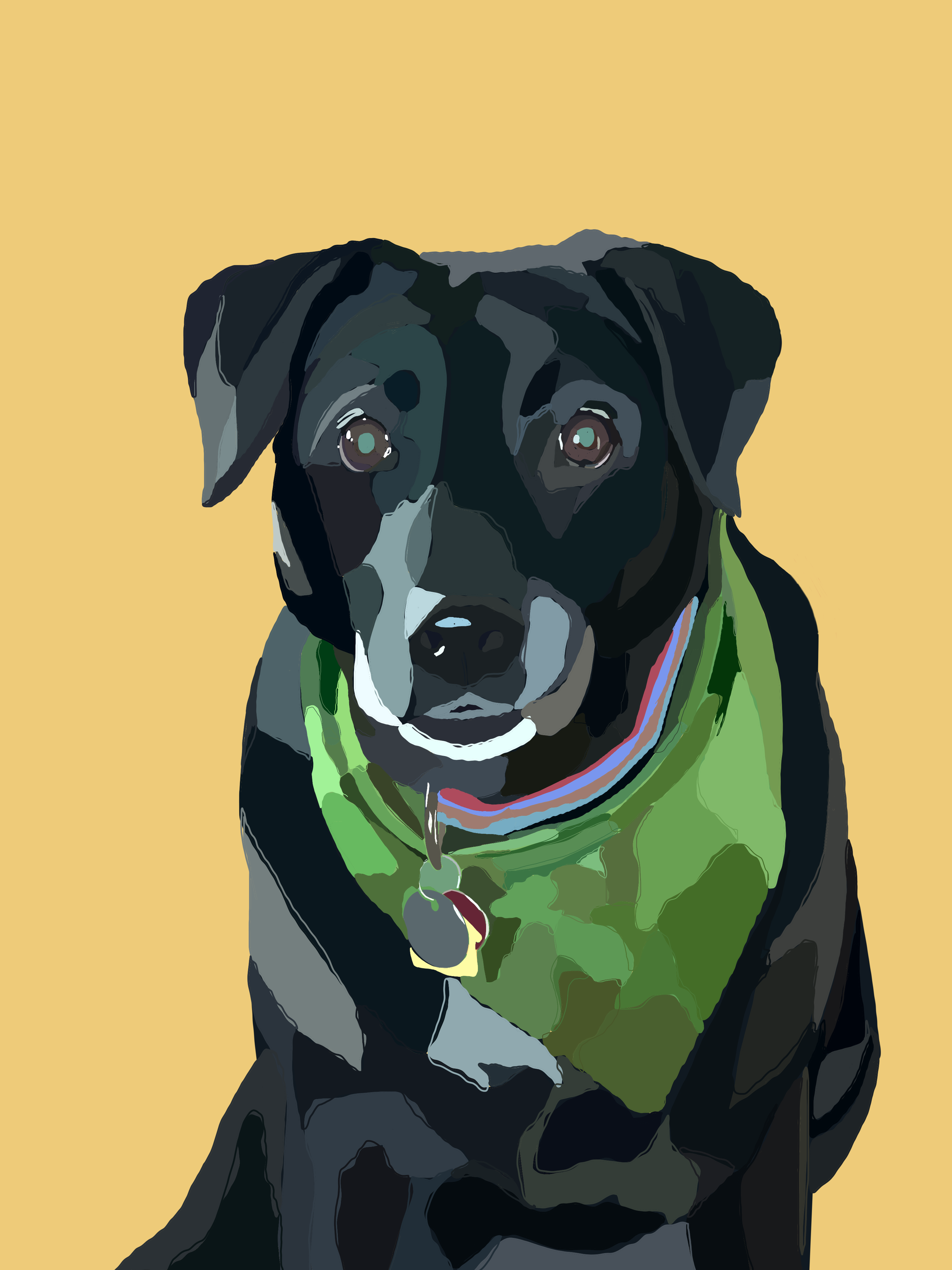 Pet Portrait Commissions