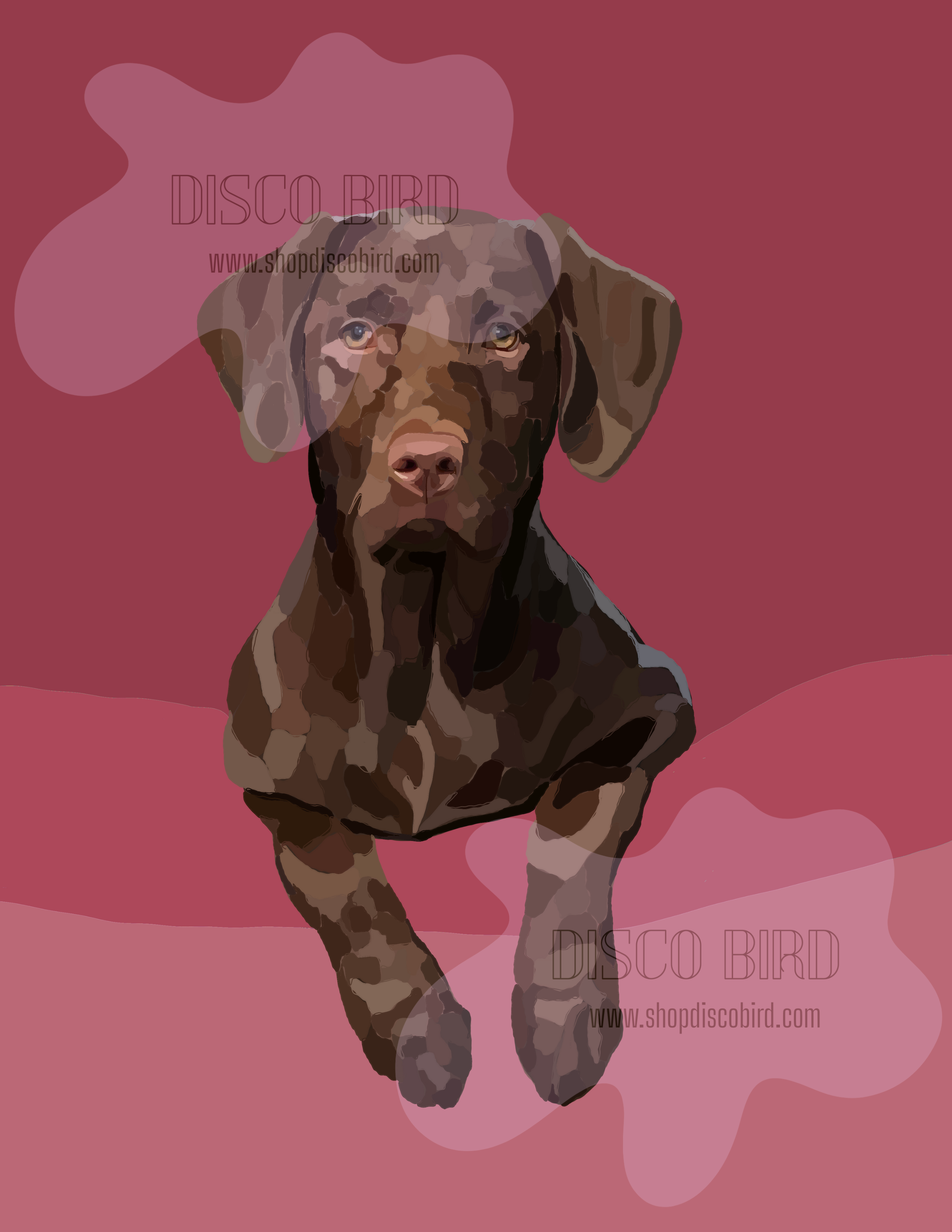 Untitled design (4).png