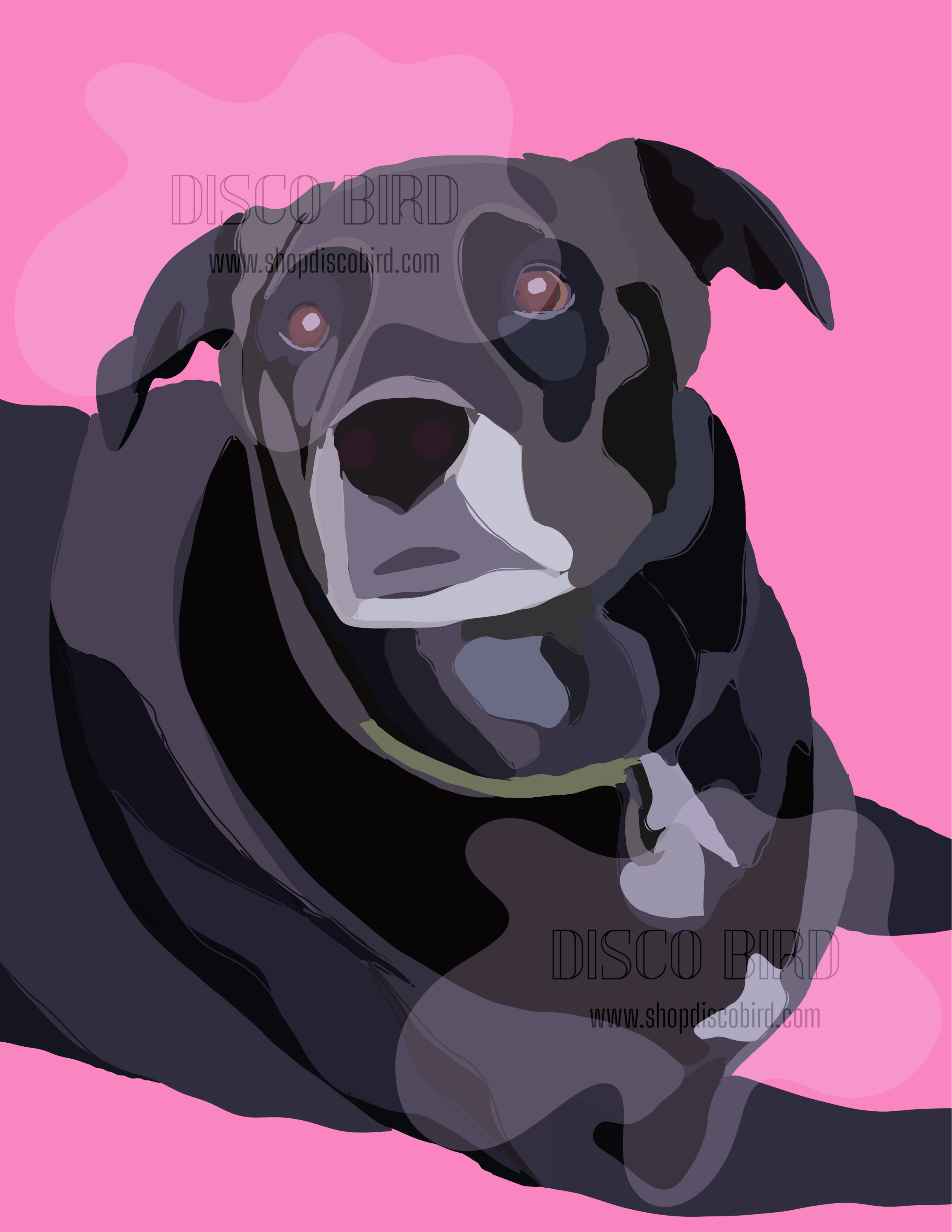 Untitled design (5).png