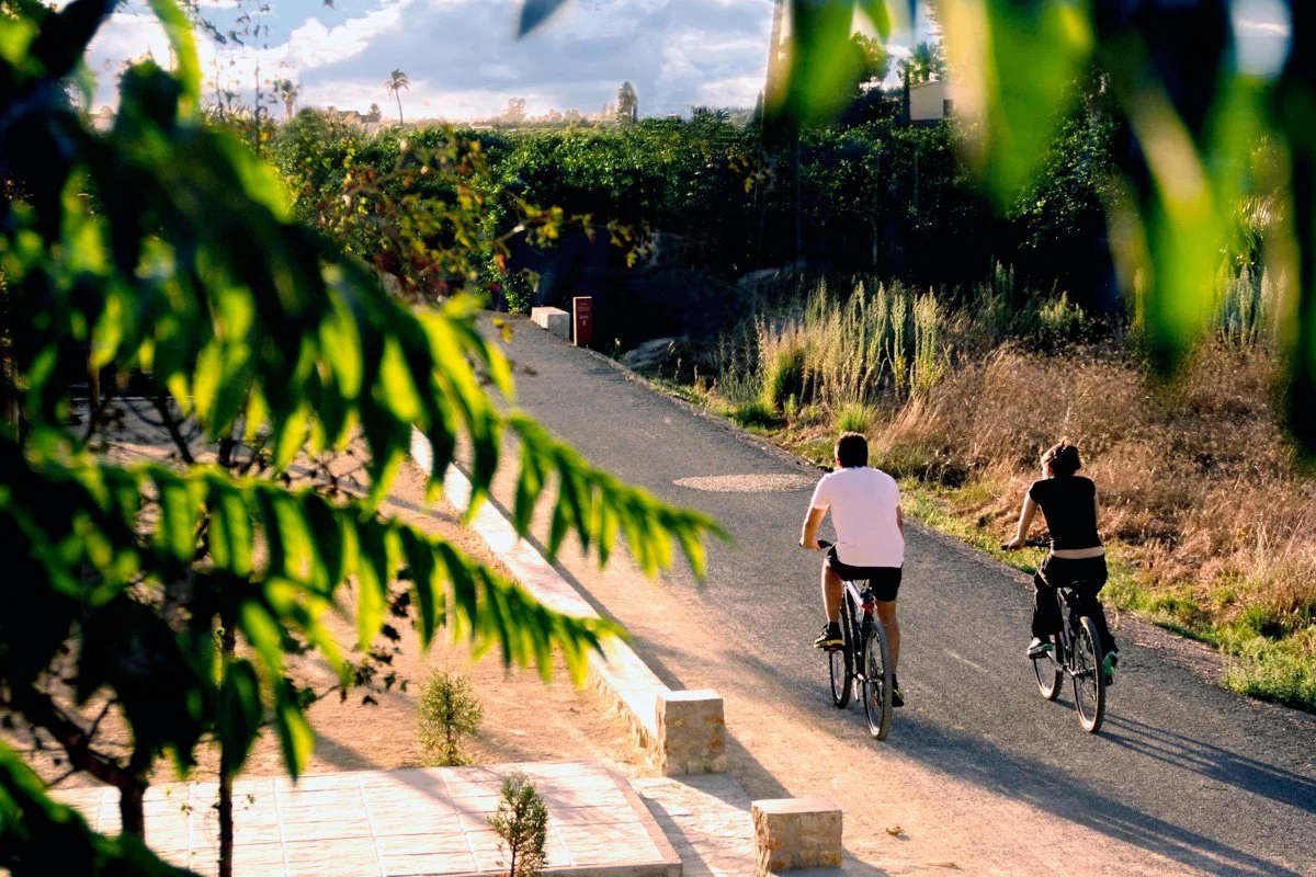 Two cyclists on a paved bike path with an orange grove in front