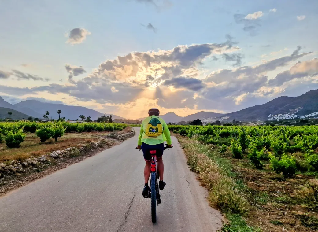 A bike rider cycling on a paved road among grapewines with the sunrise among clouds in the background