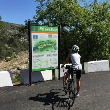 A cyclist studying an area map of Vall de Gallinera
