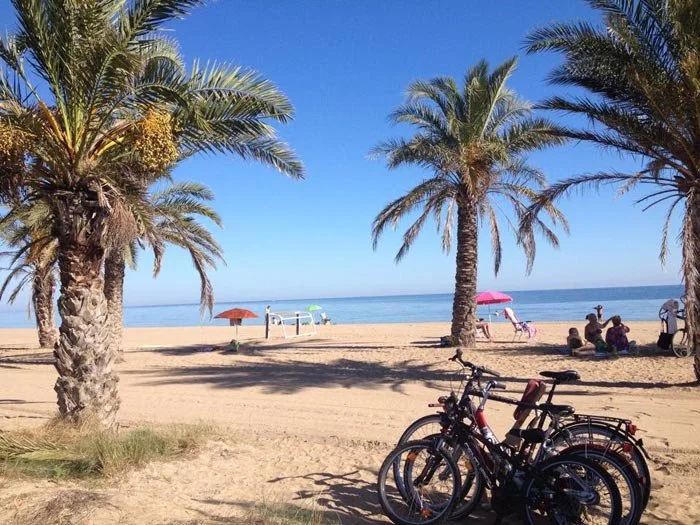 Bikes parked on a beach with palm trees, sun umbrellas and the sea in the background