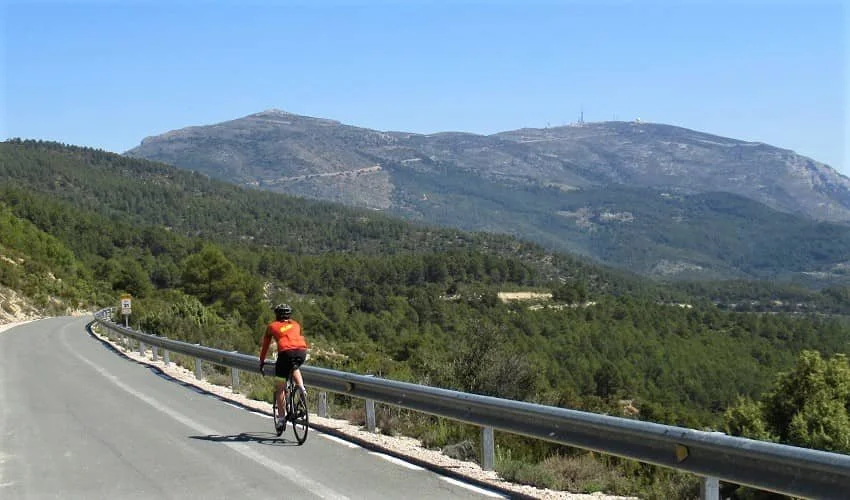 a cyclist on a paved road with a forest and a mountain with antennas in the background
