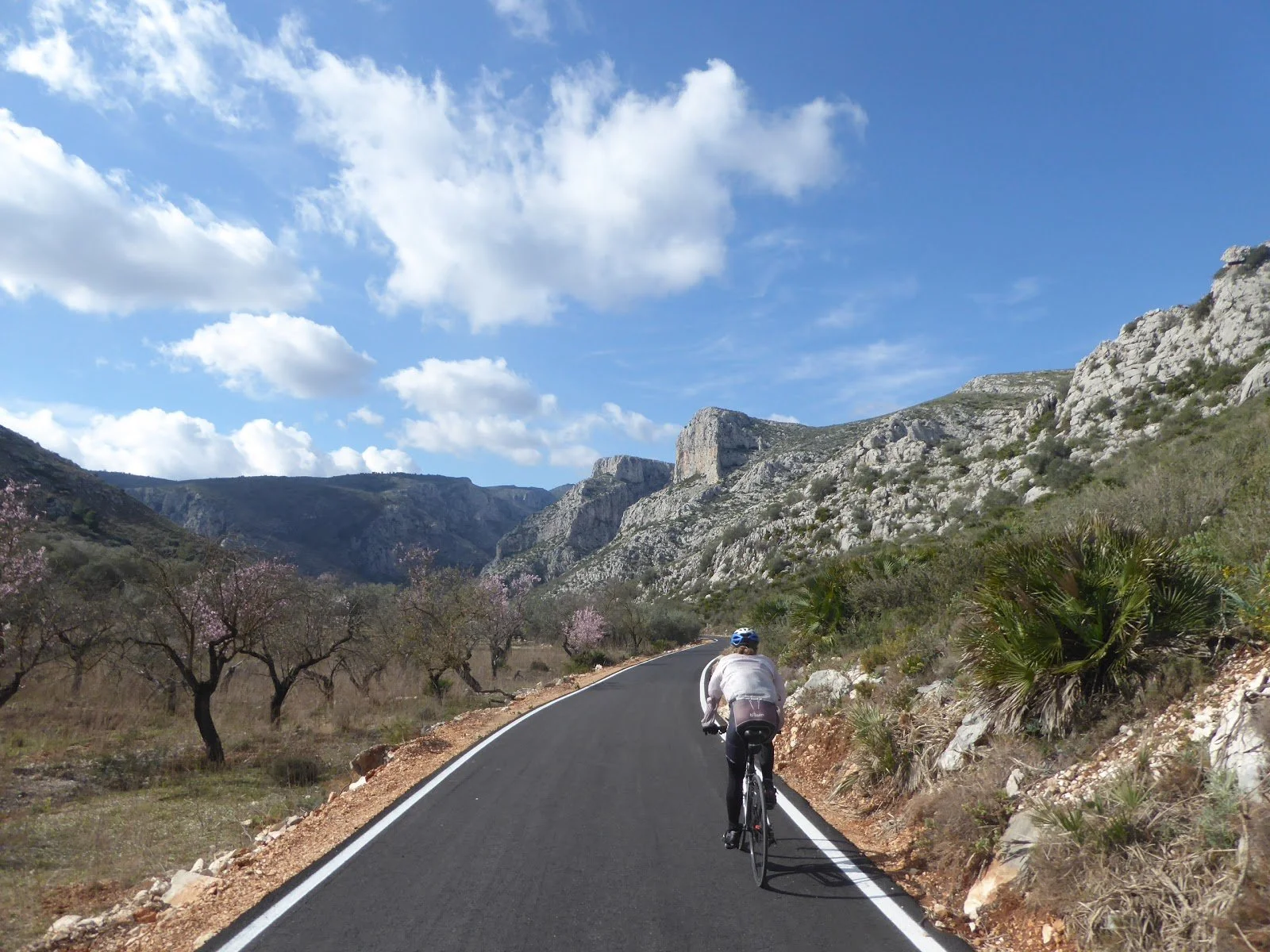 A cyclist rides on a newly paved road amongst almond trees with mountains and a blue sky in the background