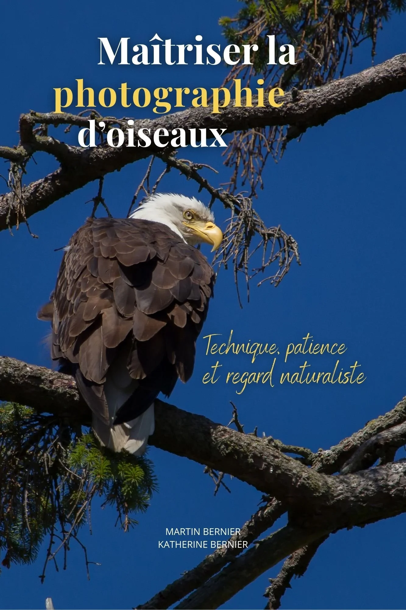 Maitriser la photographie d'Oiseaux (Pdf)