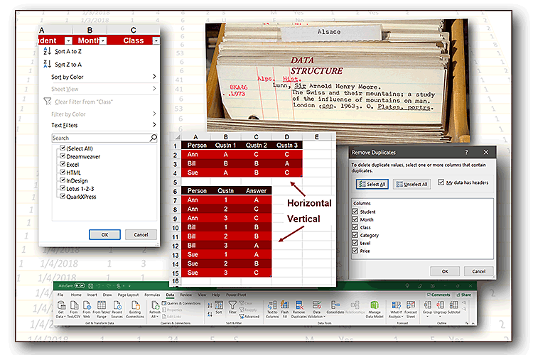 Managing Data with Excel - Get and Stay Organized