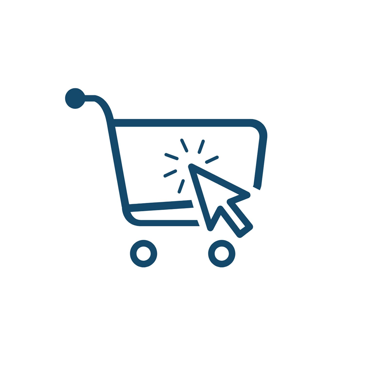 Website and eCommerce