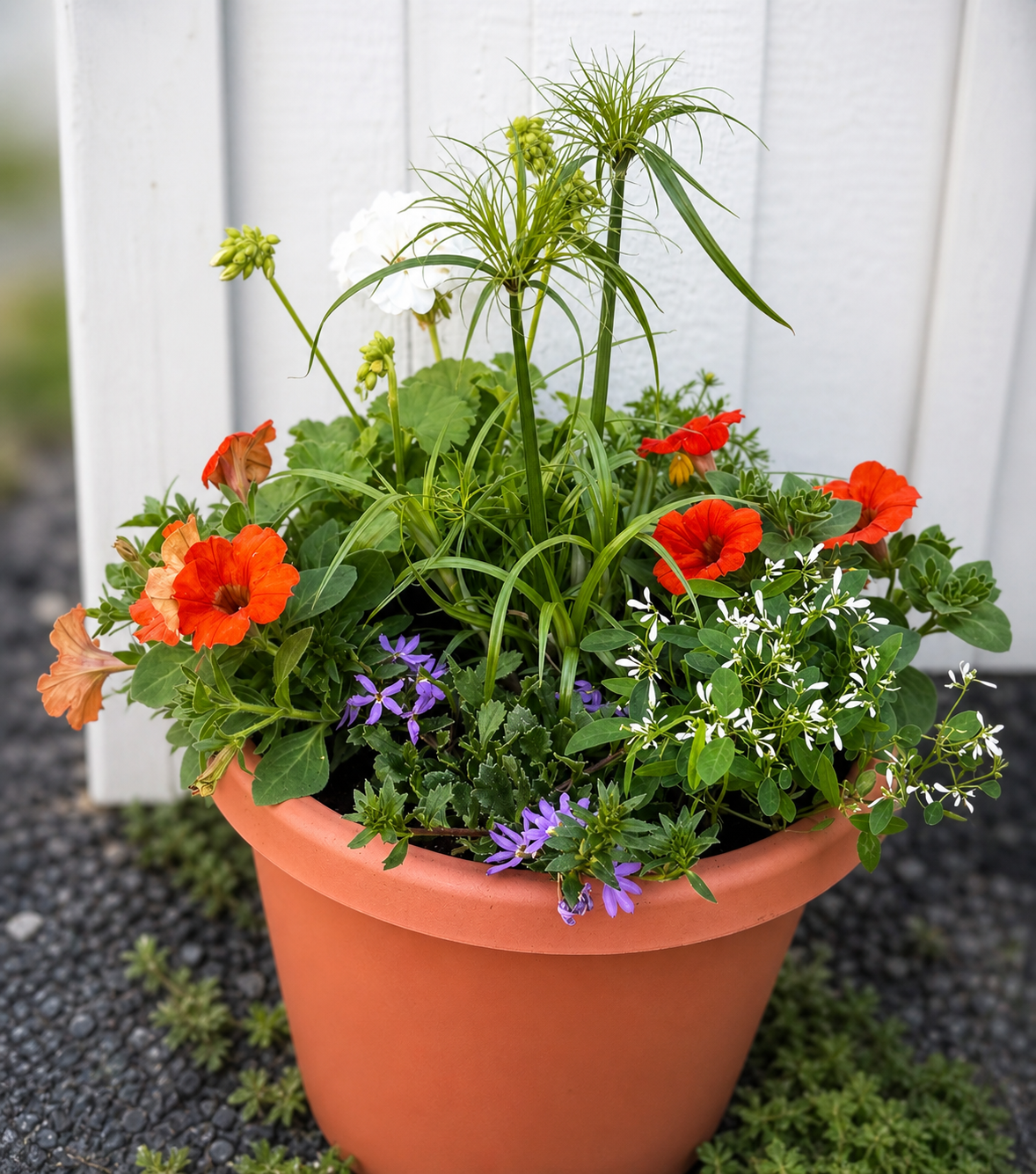 C10246D3-1904-496C-ACCC-FF8539E445EF.png