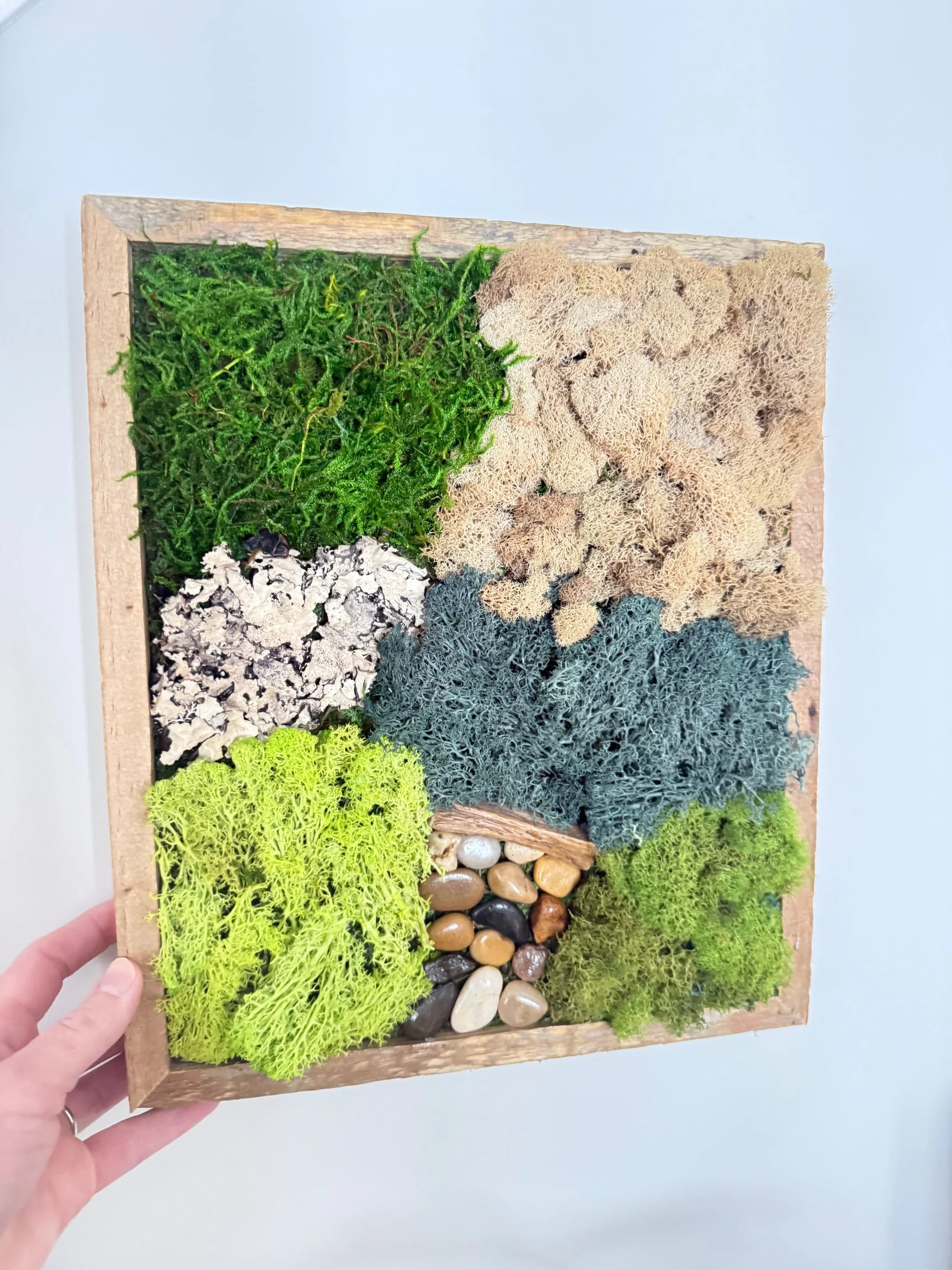 Signature Framed Botanical Moss Art Kit (8x10)