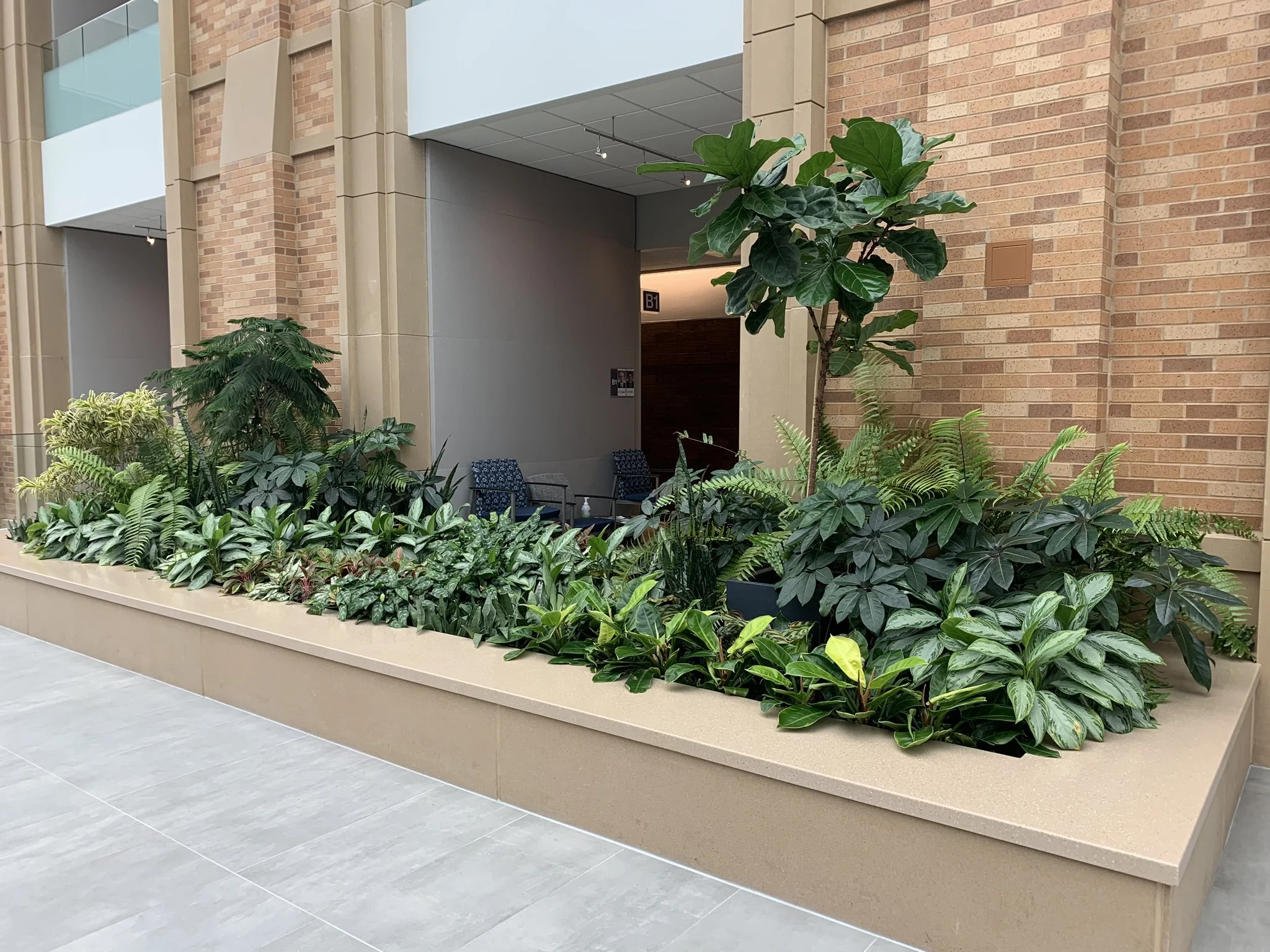 Indoor plant garden with various green plants in a beige planter against a brick and concrete wall.