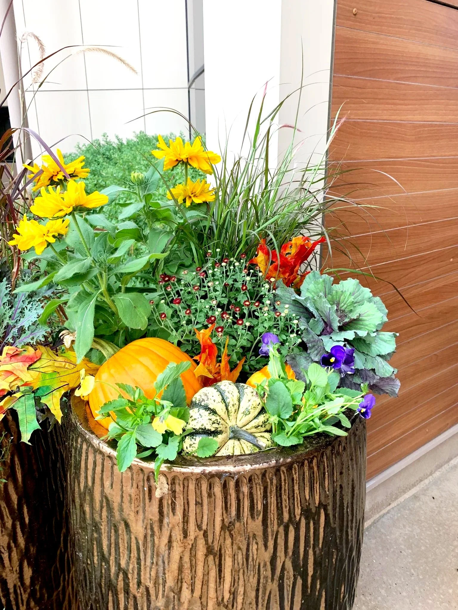 Tall bright fall planters with purple fountain grass,, Rudbeckia, fall mum, ornamental cabbage, purple pansies, bright orange and yellow oak leaves and pumpkins in tall bronze ceramic planters