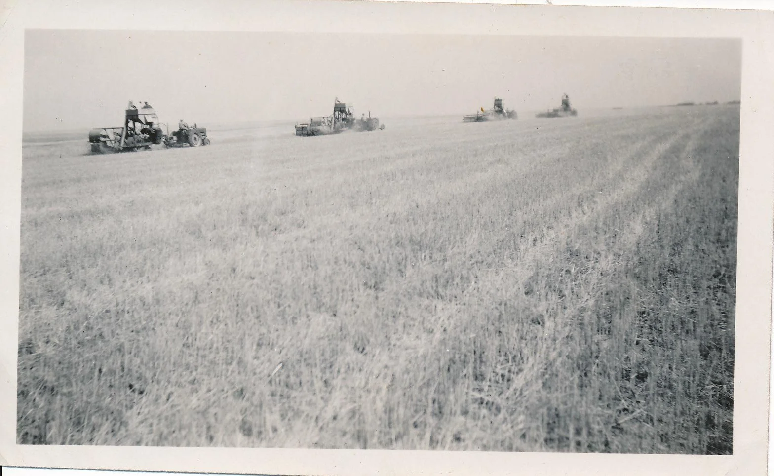 Four tractors working in a large open field, planting or cultivating crops.