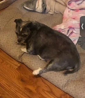Minnie
