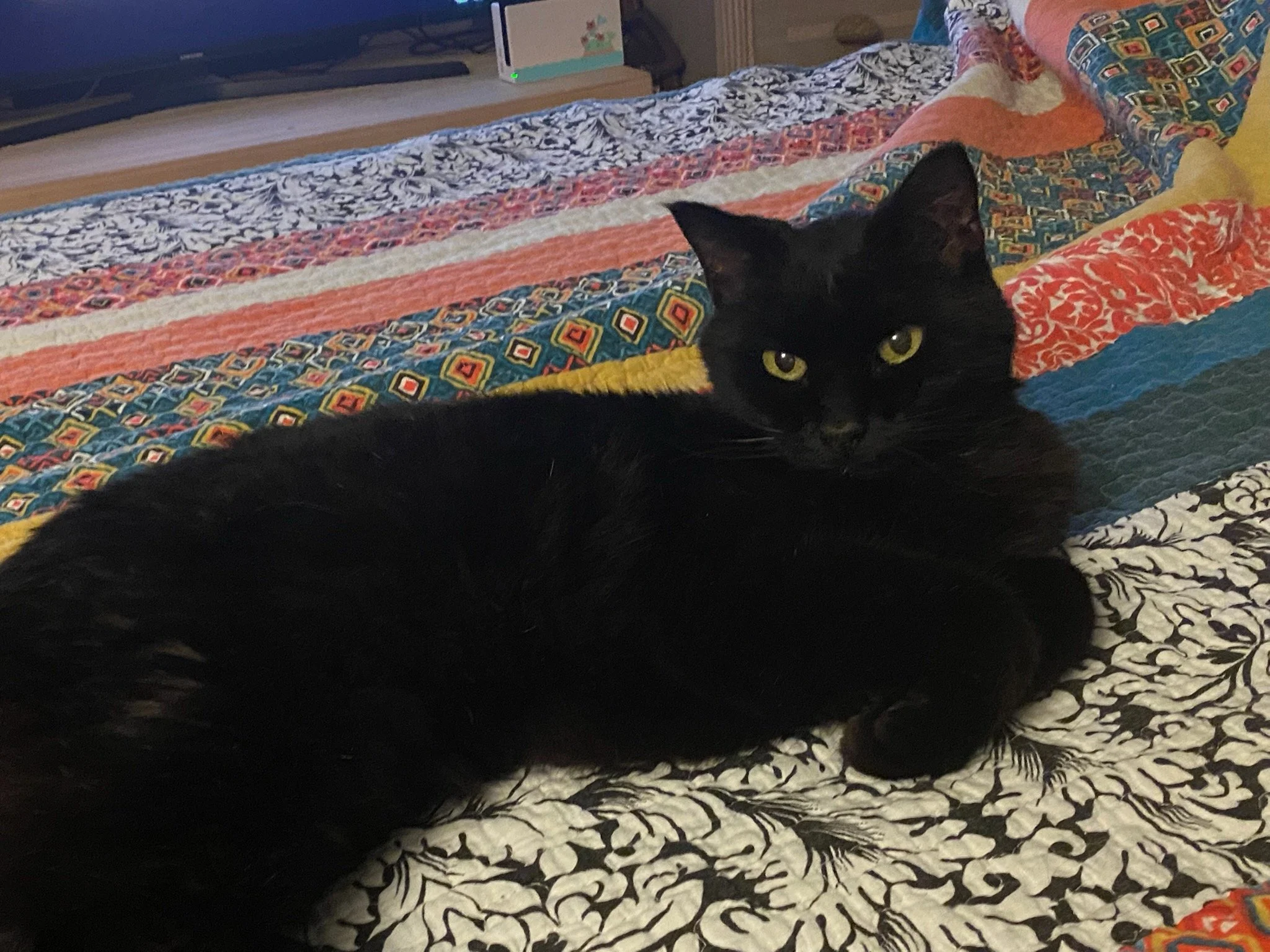 Titi