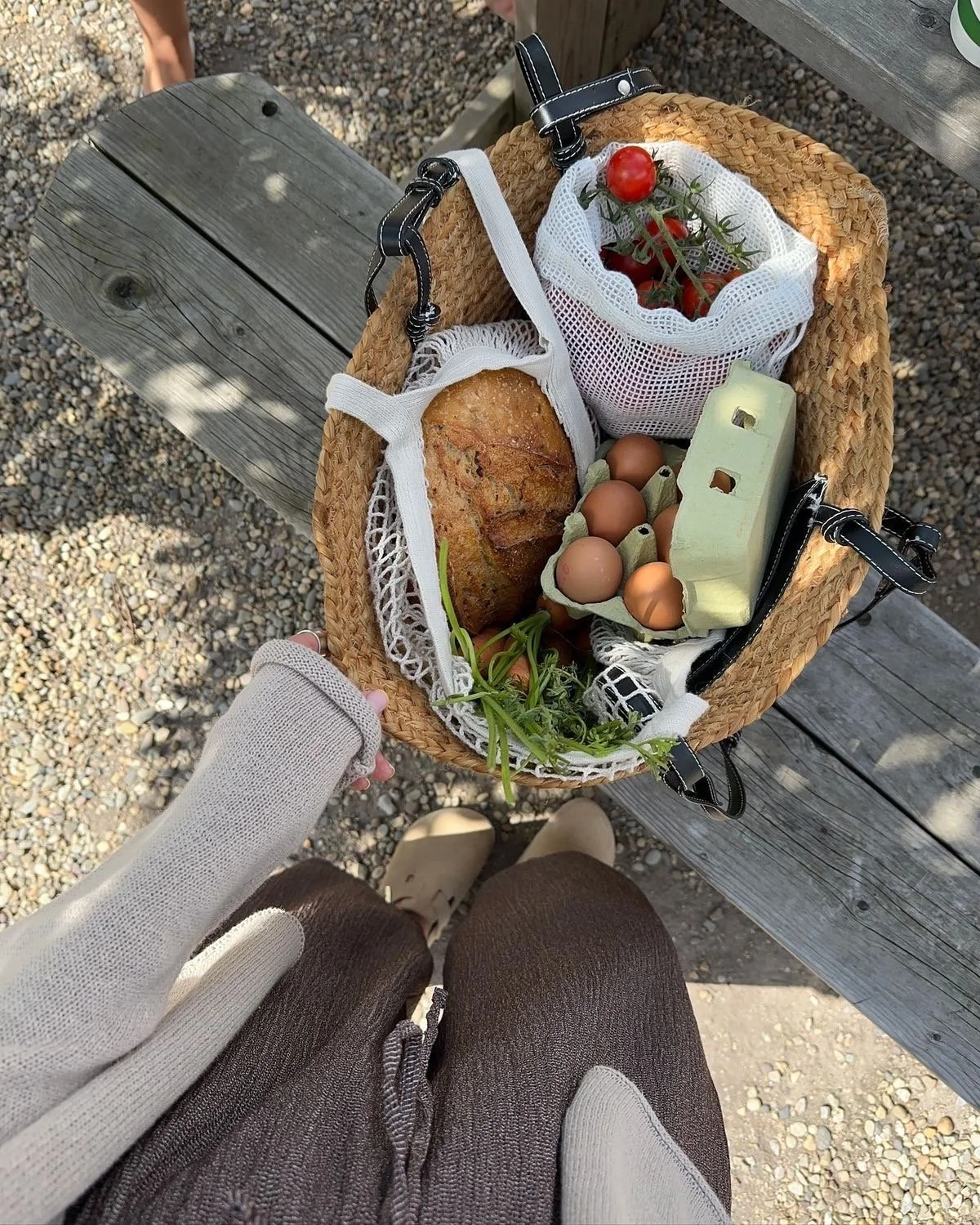 Nutrition Therapy & Dietetic Support