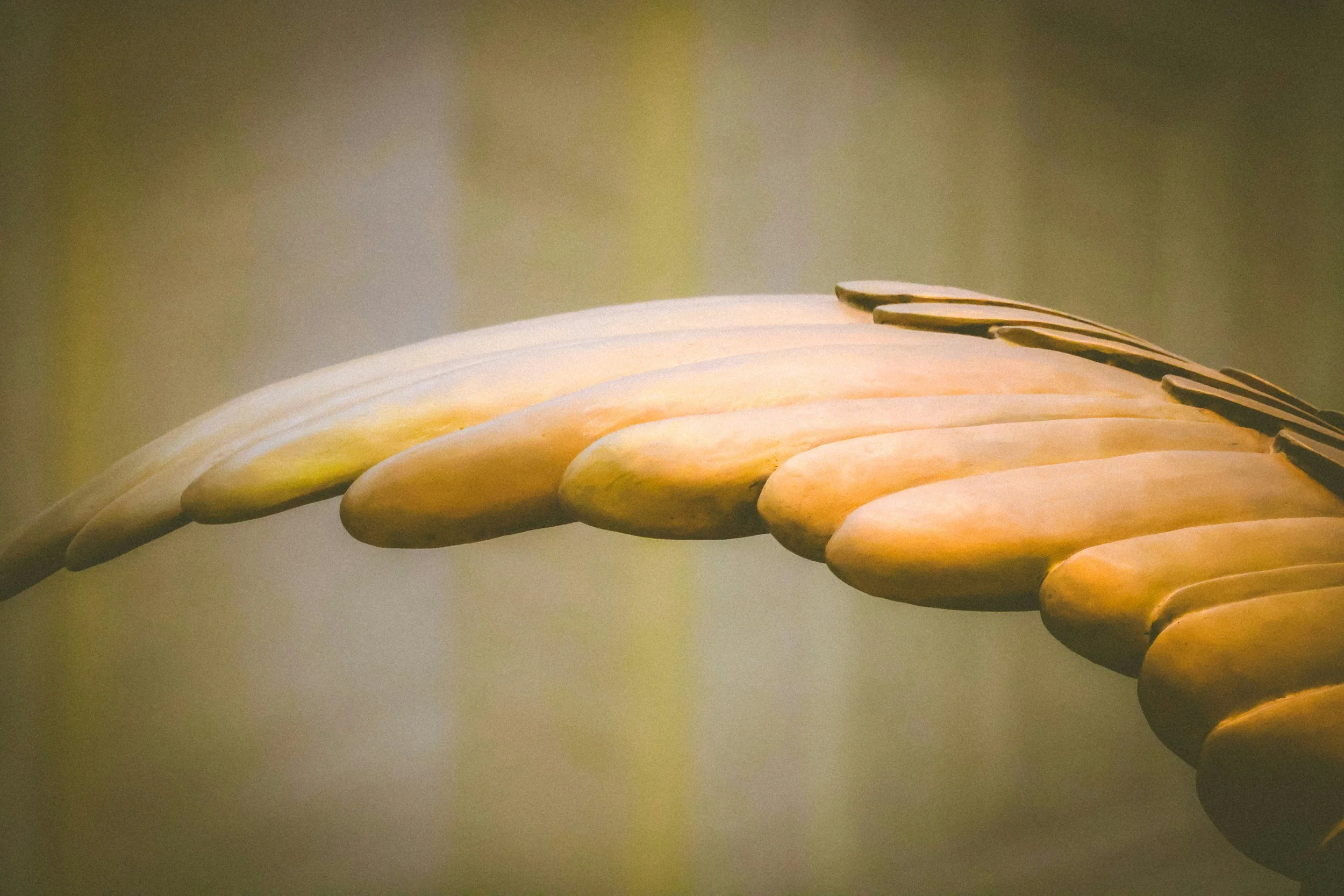 The Real Cost of Winging It: What Skipping a Business Plan Actually Costs You