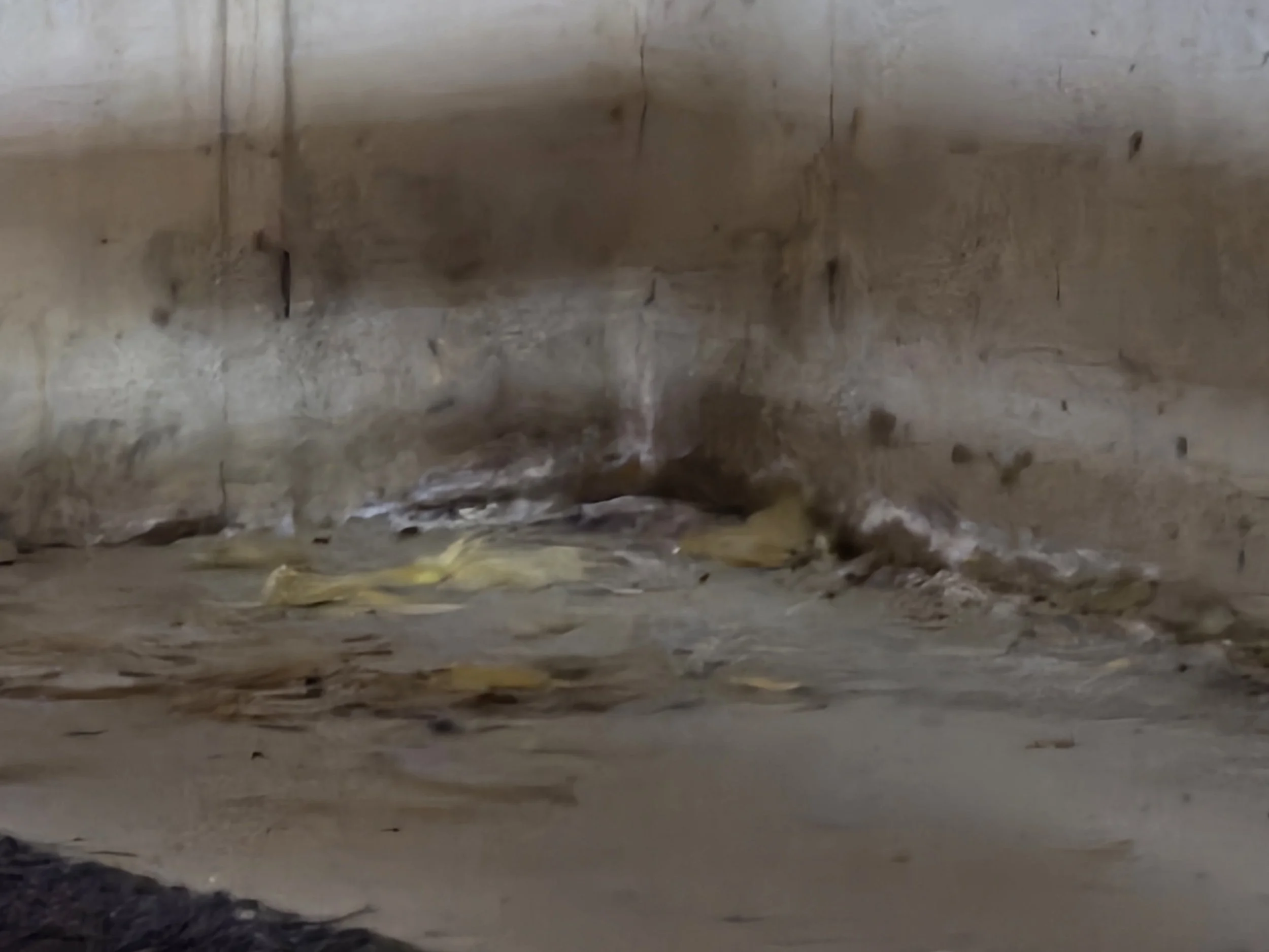 5 Expensive Problems Hidden in Finished Basements Every Homebuyer Should Know