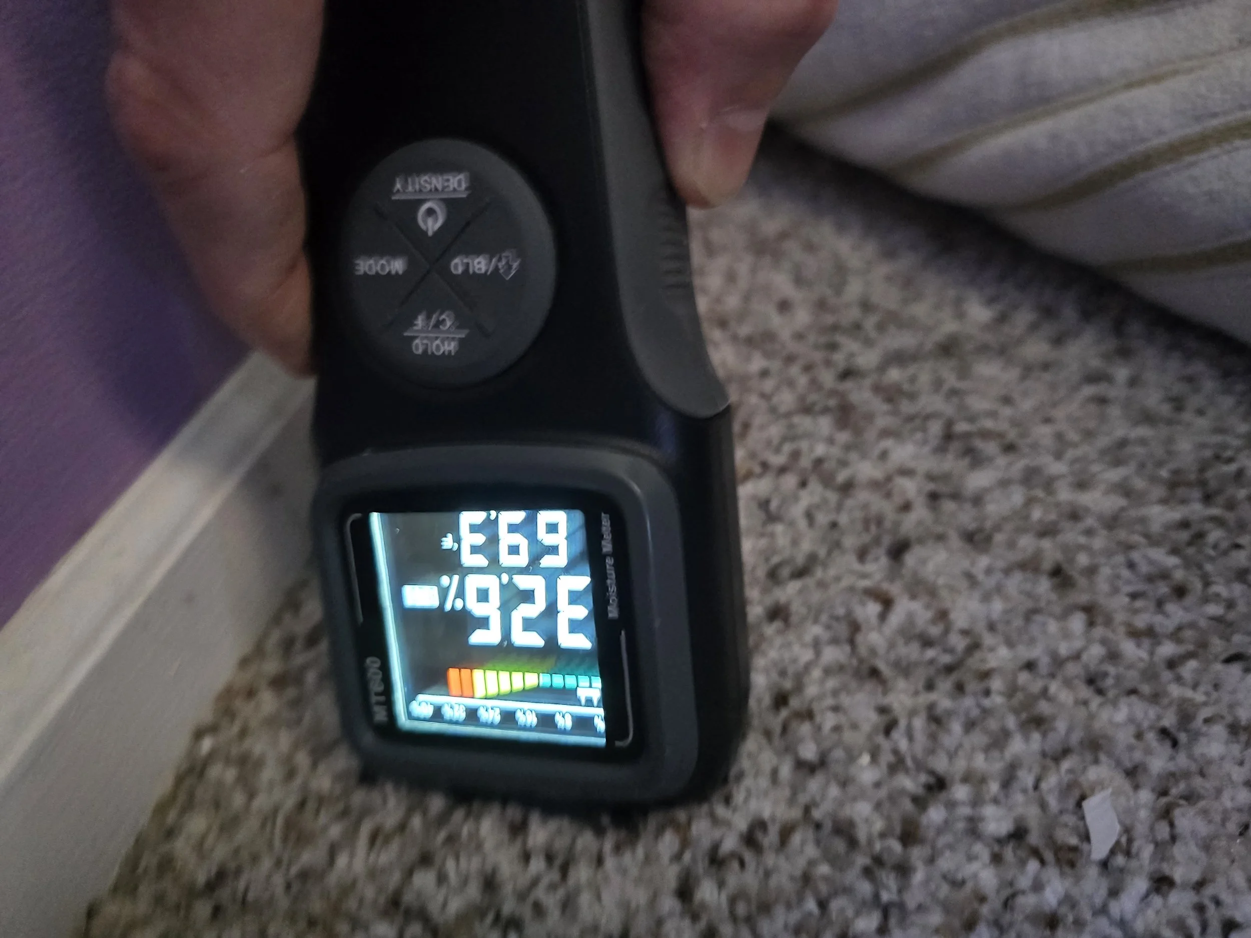 water damage in carpet.jpg