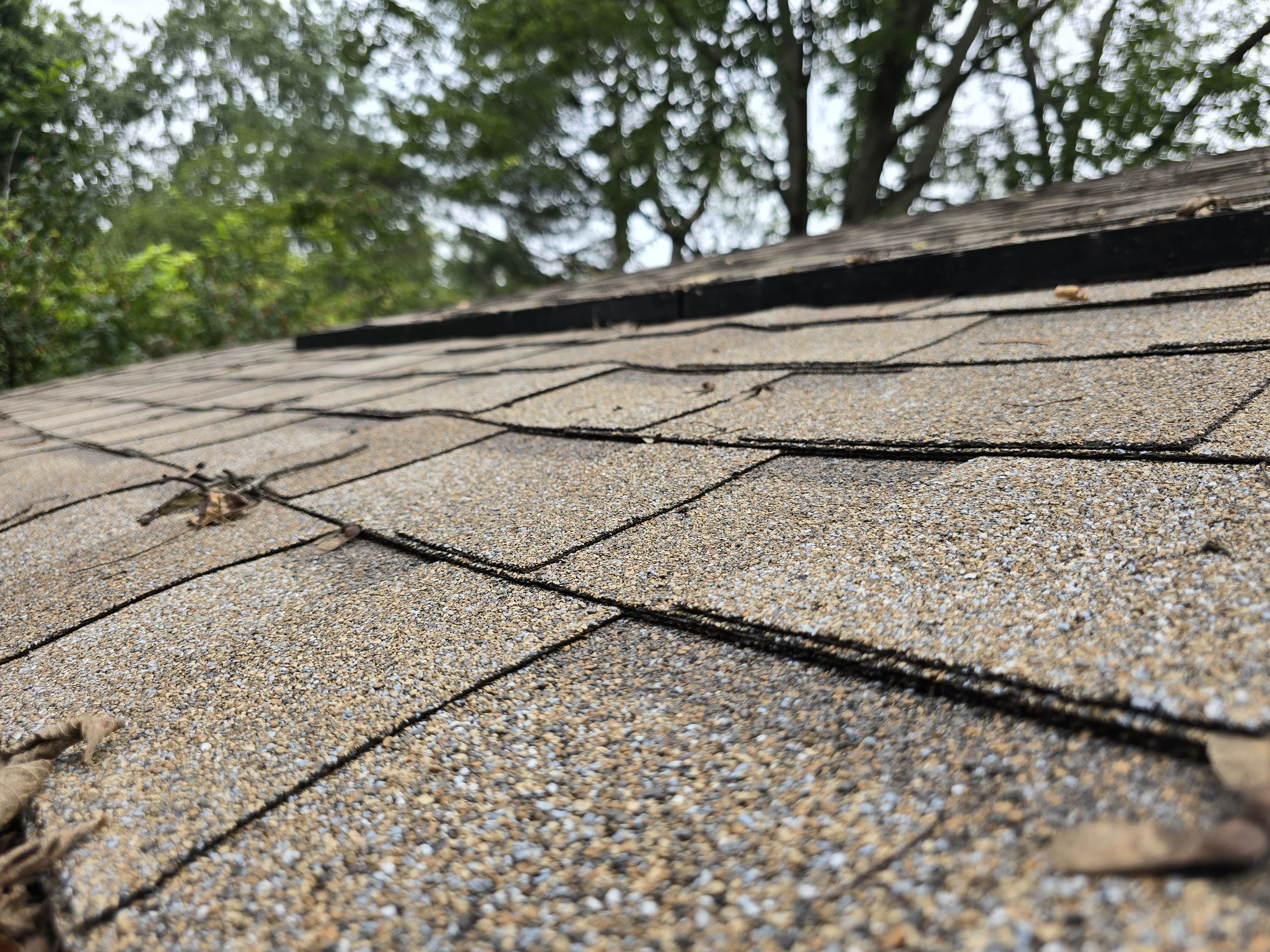 Roof Veiw.jpg