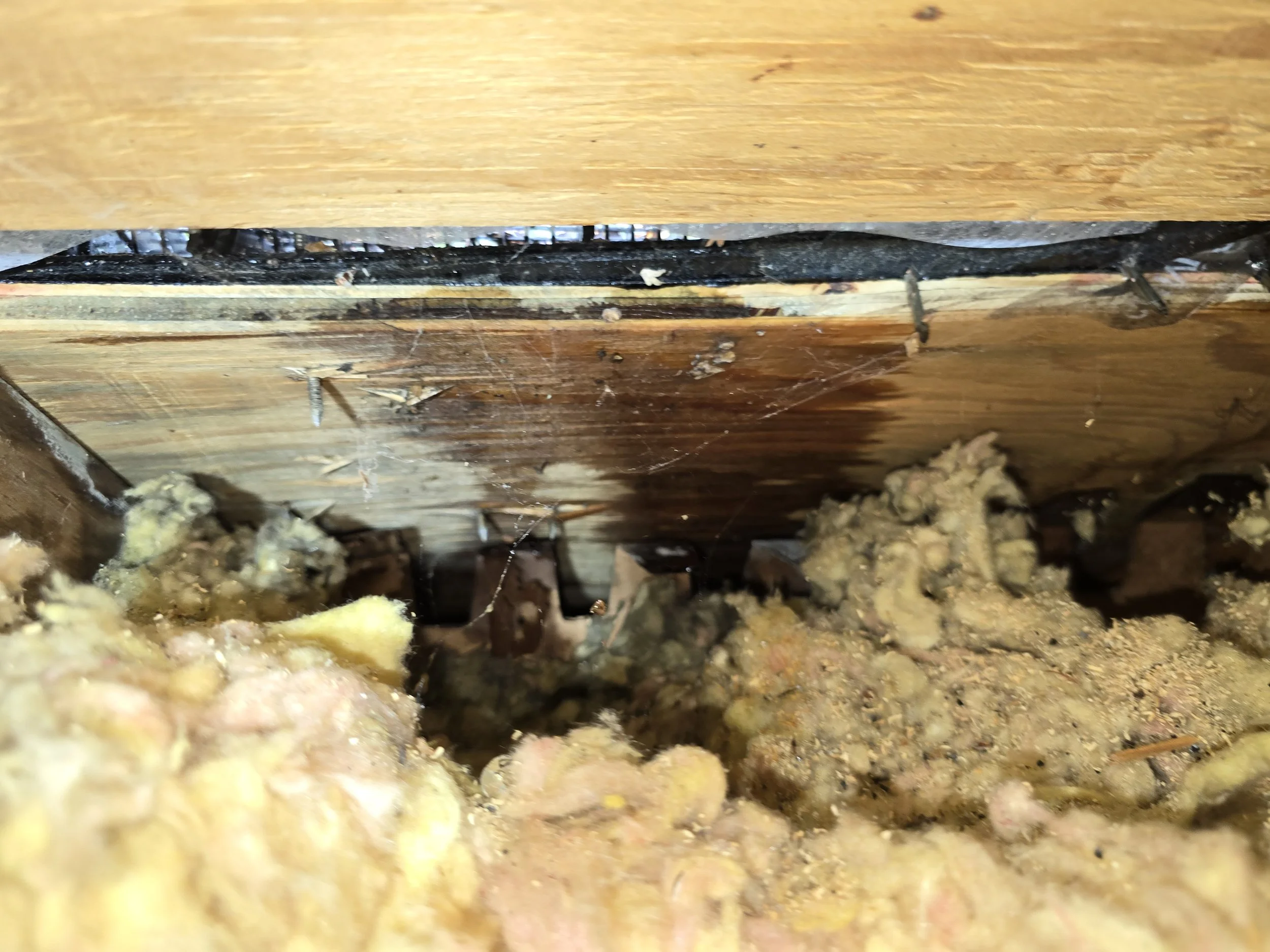 When a New Roof Leaks: How an Independent Inspection Identified the Source