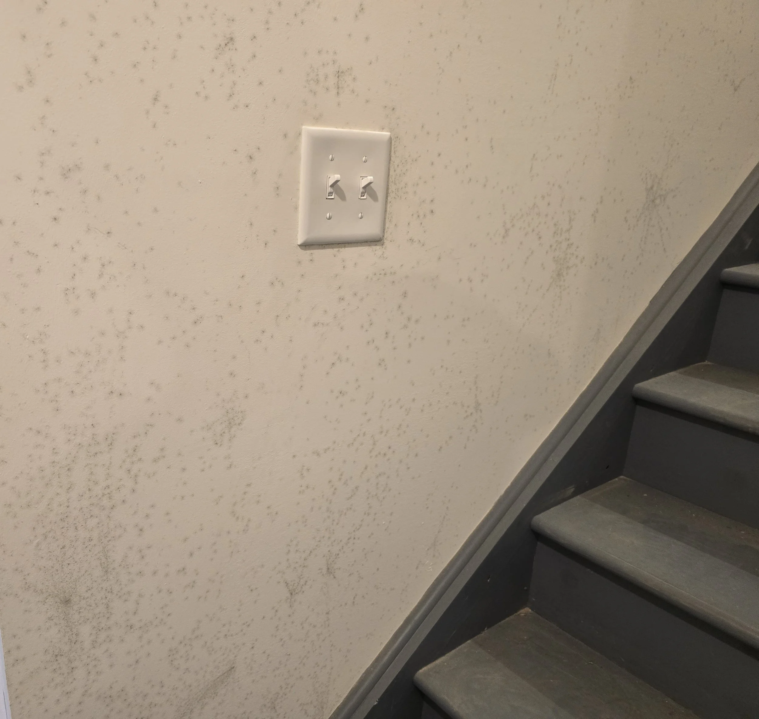 Mold on Basement Drywall in a Newer Home? 