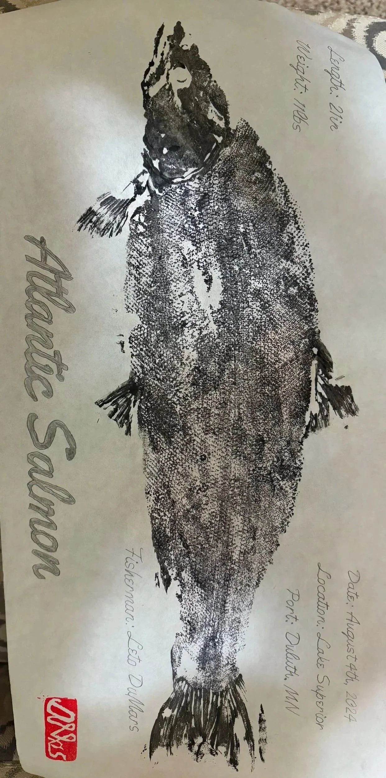 A detailed black and white illustration of an Atlantic Salmon fish, with handwritten notes about its length, weight, date, location, port, and fisherman. The notes indicate the fish is 21 inches long, weighs 11 pounds, caught on August 4th, 2024, at 
