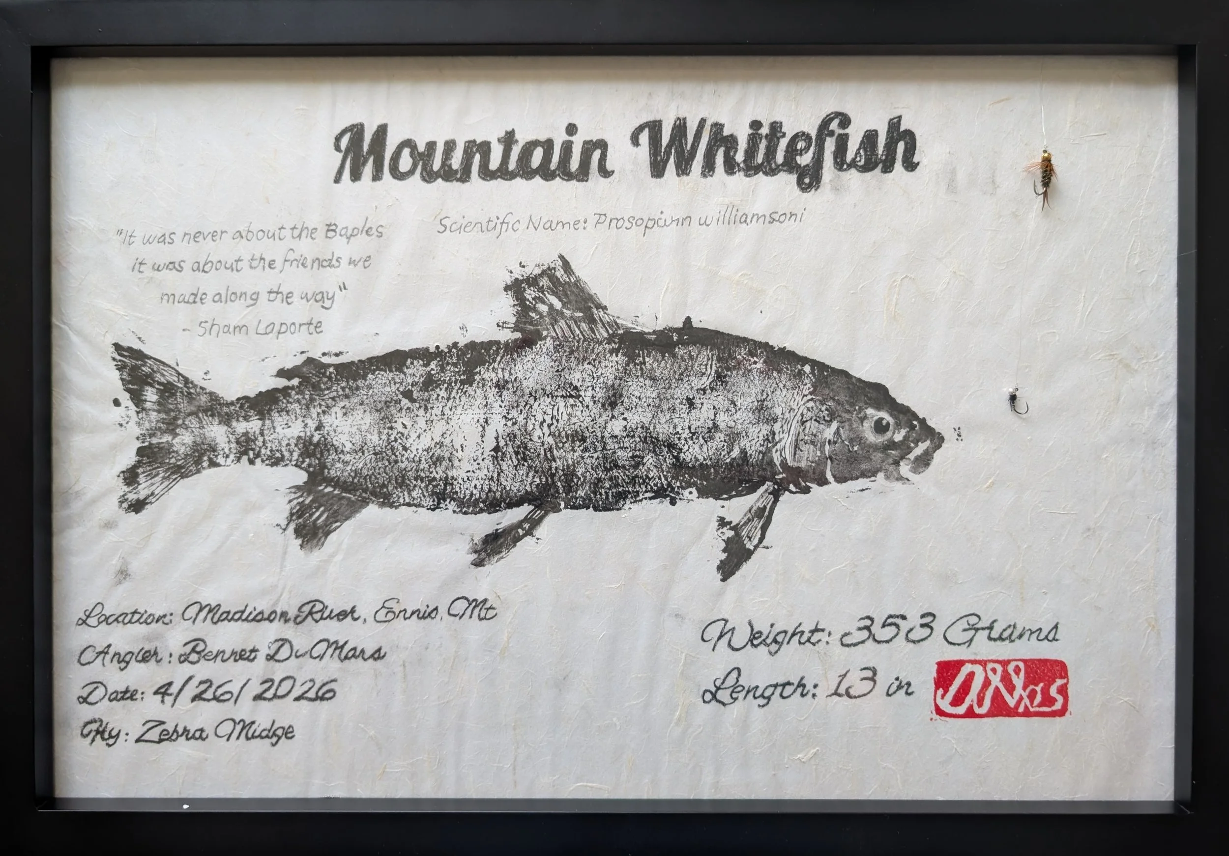 Bennet Mountain Whitefish.jpg