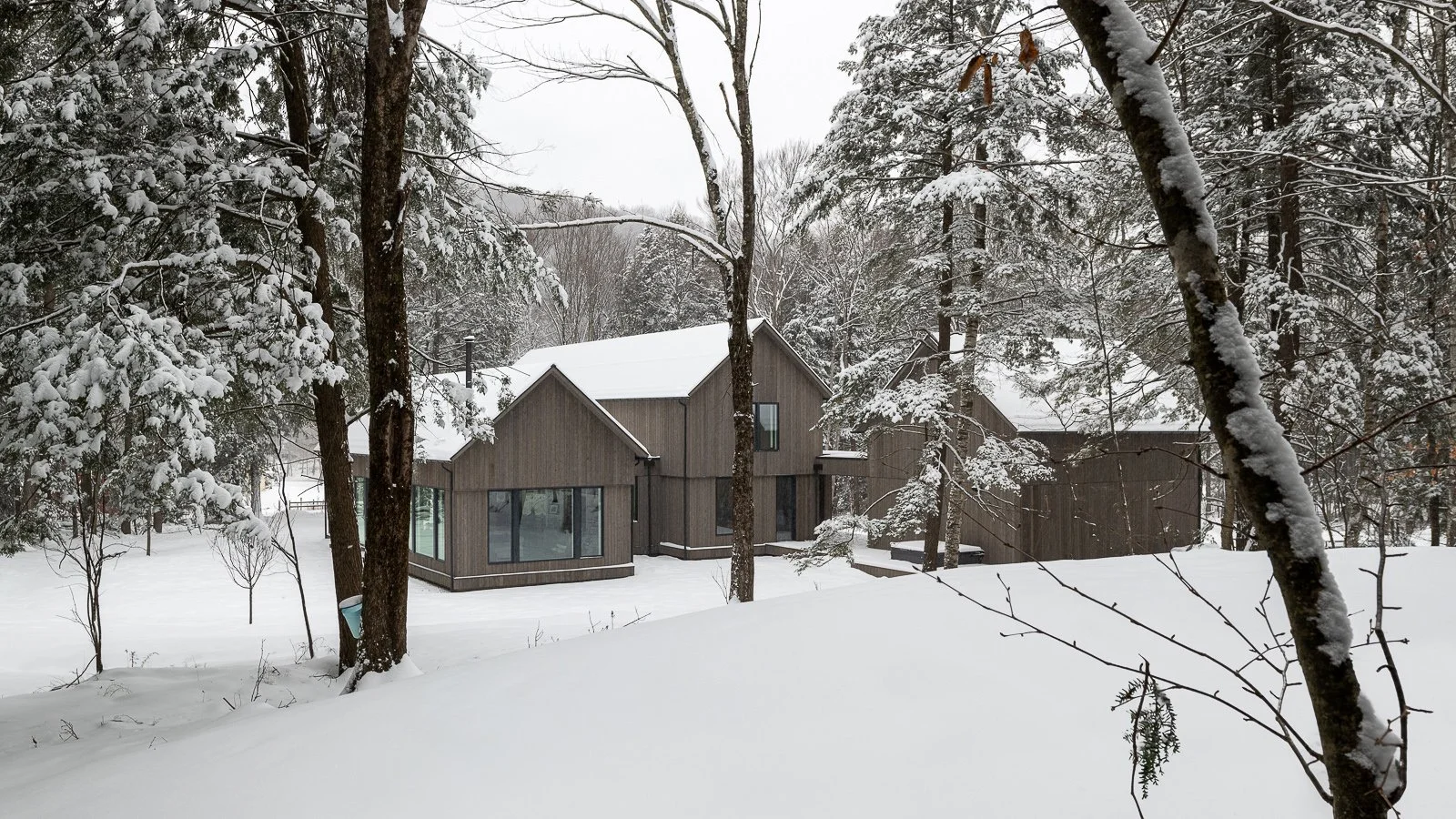 Woodlands - Modern Vermont Architect (44).jpg