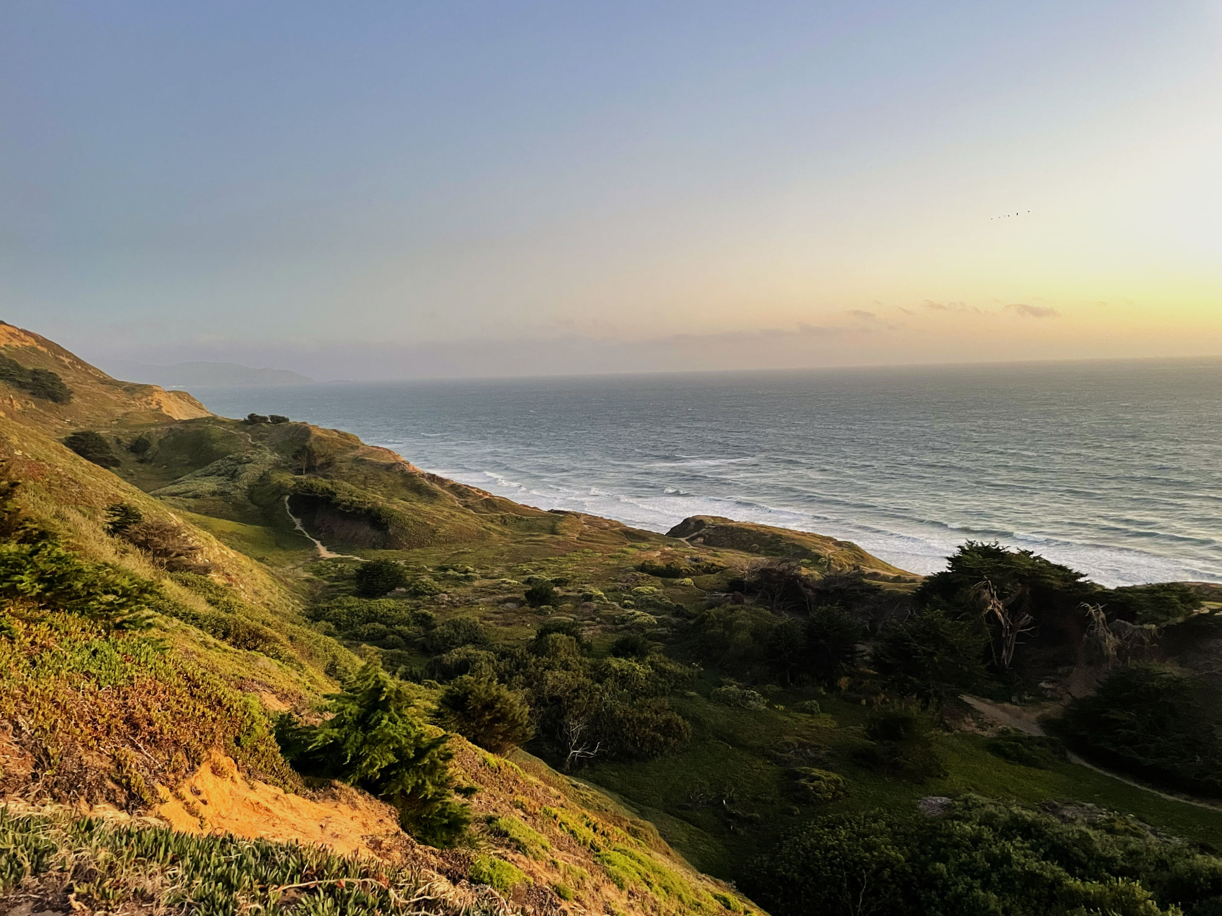 California