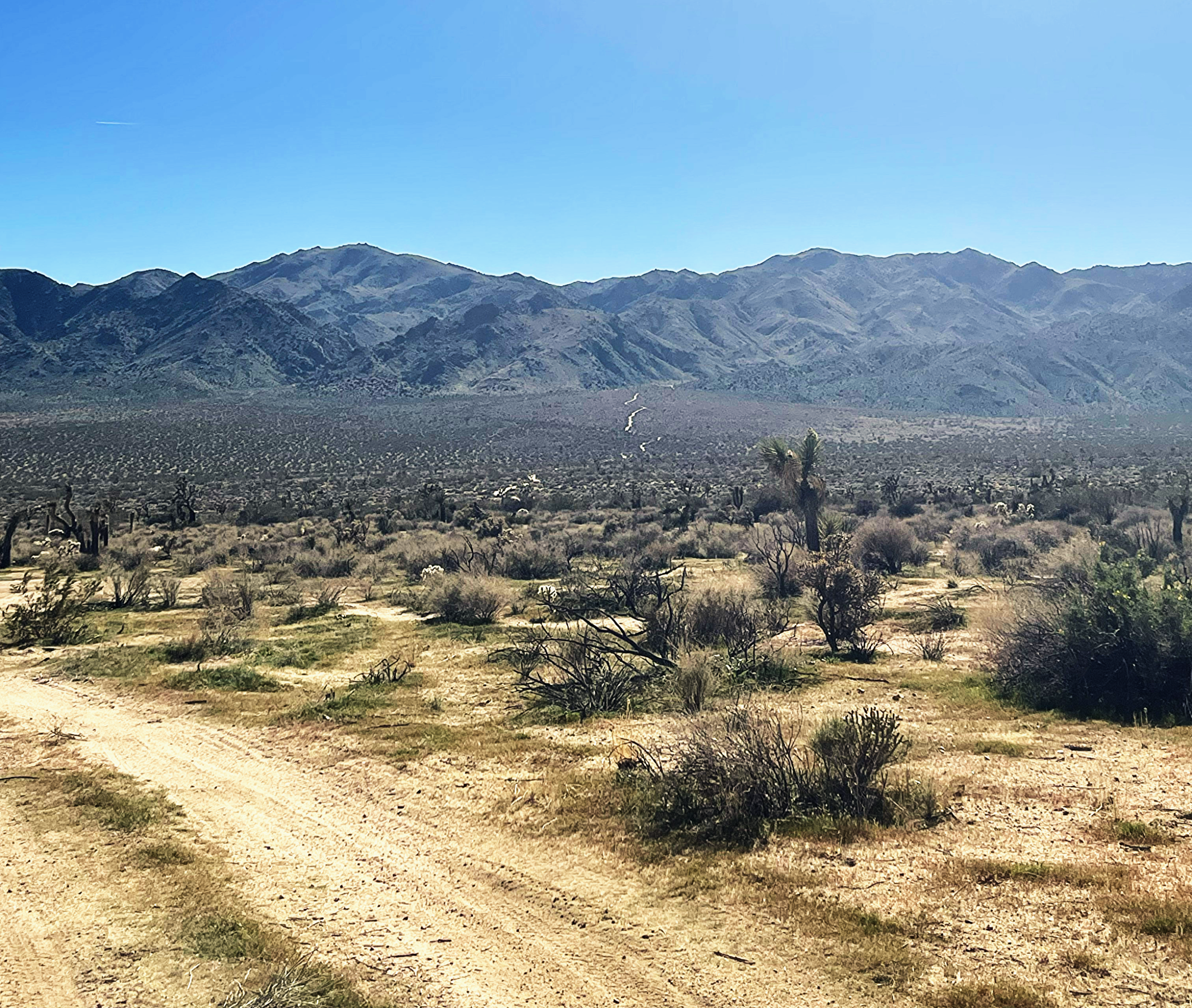 Mountain Photos
